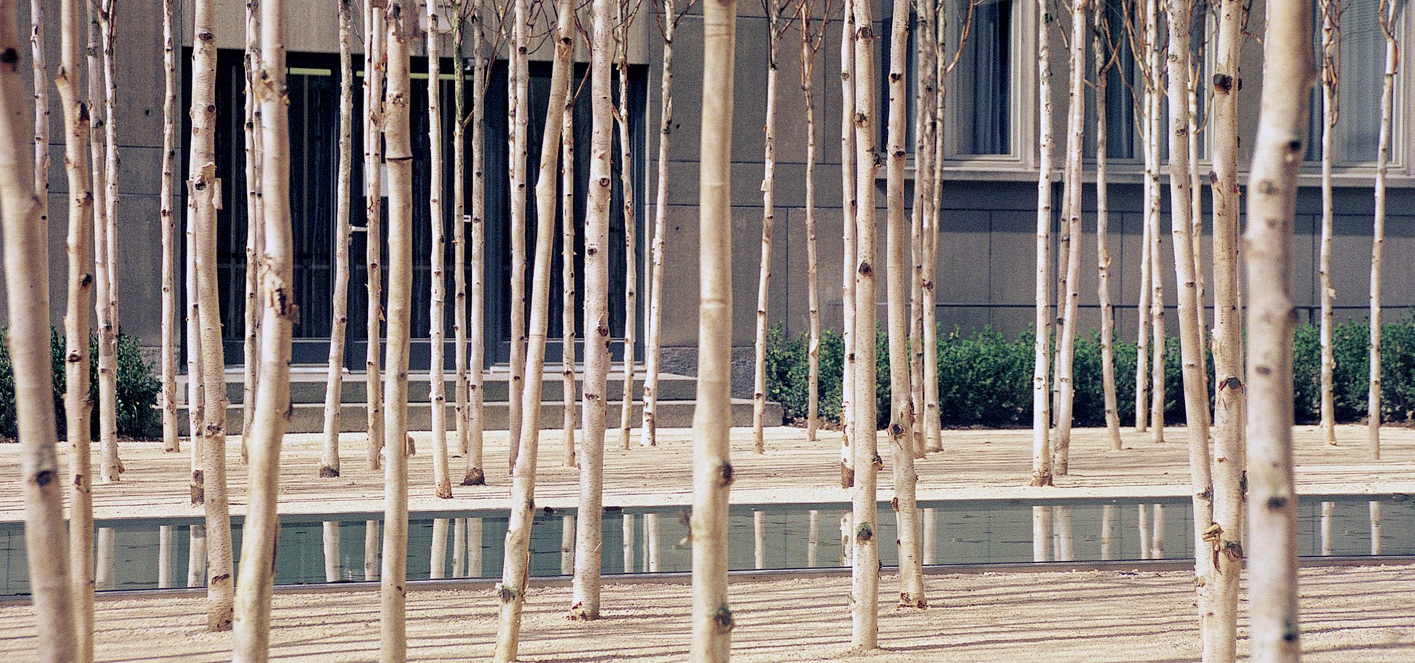   NOVARTIS HEADQUARTERS, FORUM 1  COURTYARD  