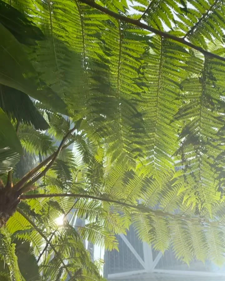 The Henderson in Hong Kong is nearly complete and looking great!