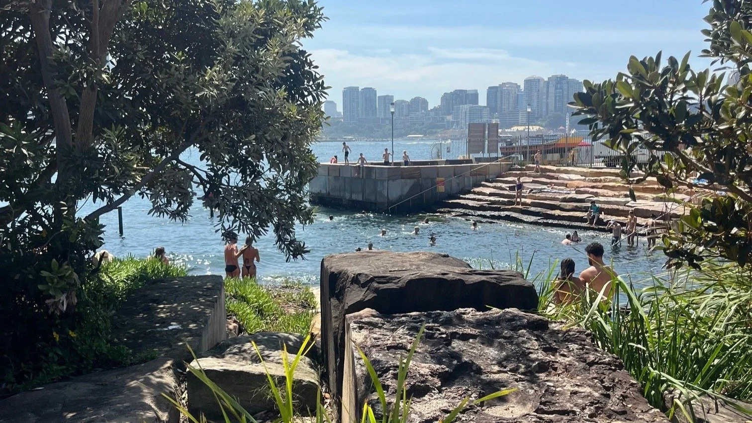 Barangaroo Reserve 10 years in. Passing by on the way to @outlandishventures Australian Landscape Conference. 

📸Sarah Price