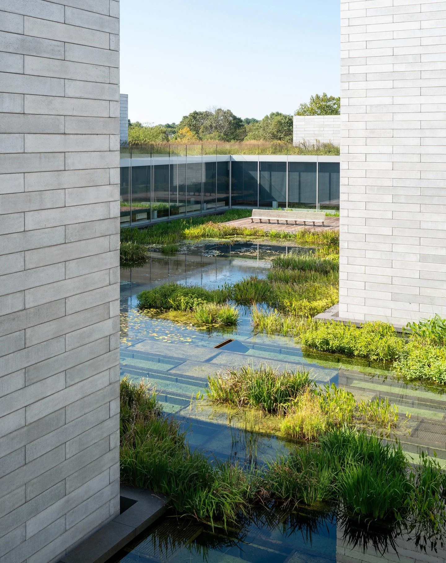 Happy World Landscape Architecture Month! Some scenes from Glenstone last October. 📸@marionbrenner