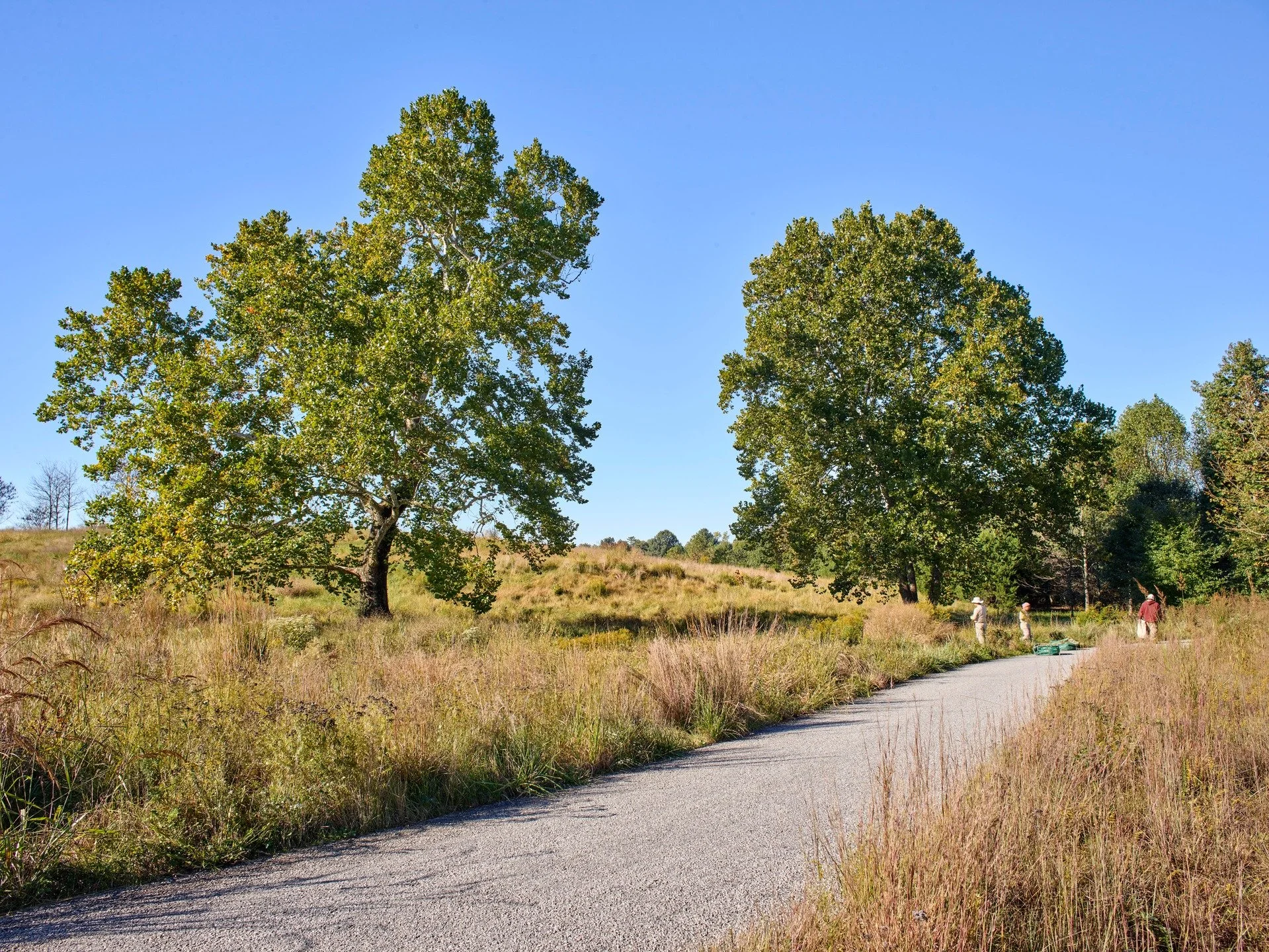 Happy Earth Day! 

📸 @marionbrenner