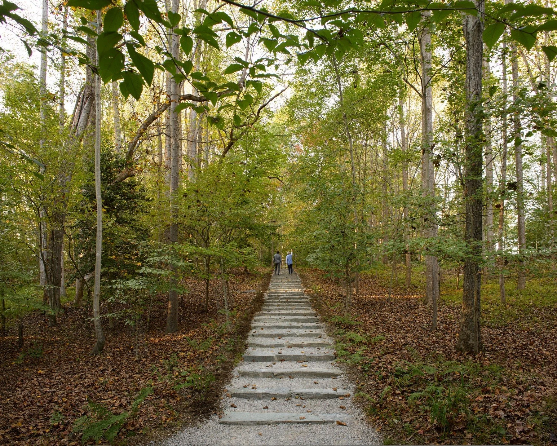 Early fall day at Glenstone. 

Photo by @marionbrenner