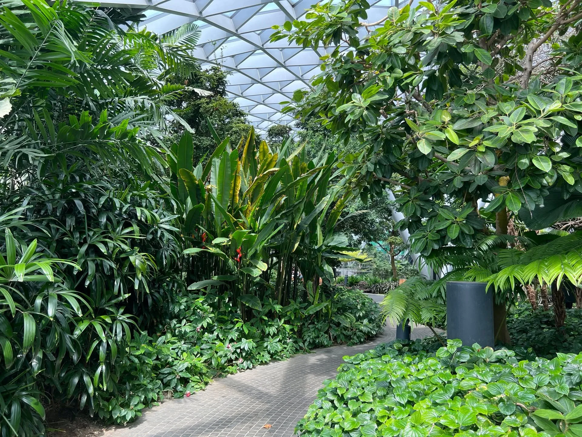 Scenes from a quick visit to our favorite airport.