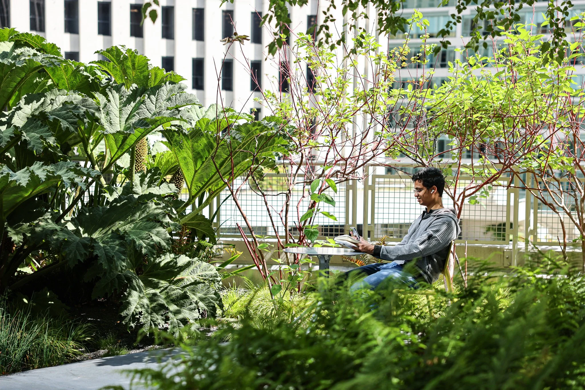 Salesforce Transit Center Park. 
San Francisco, CA.