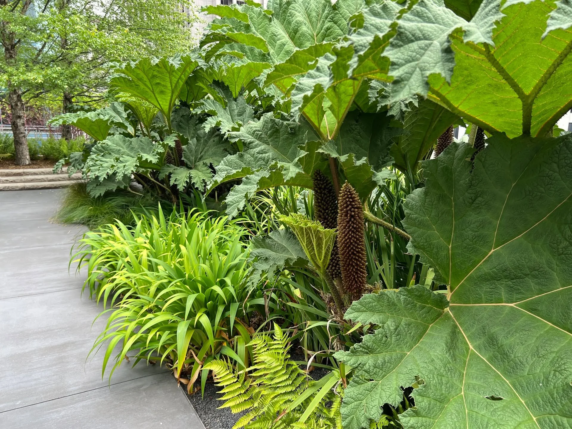 Salesforce Transit Center Park. June, 2025.