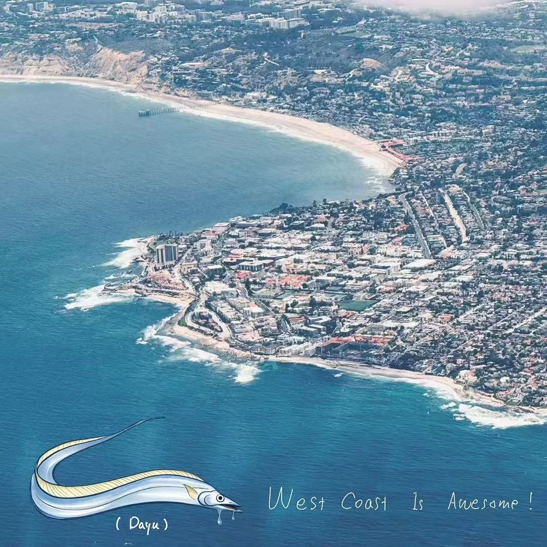 Hi! This is Dayu, and I&rsquo;m a summer intern beltfish.
I&rsquo;m originally from the east coast of China. I swam all the way from Harvard GSD on the East Coast to PWP on the West Coast. Every day, I ride through the cool morning fog to the office,