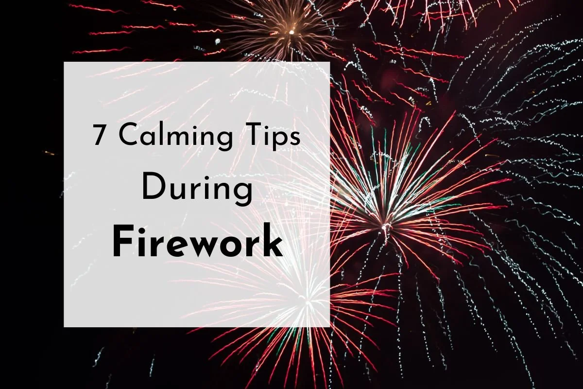 7 Tips to Calm Your Pet During Fireworks