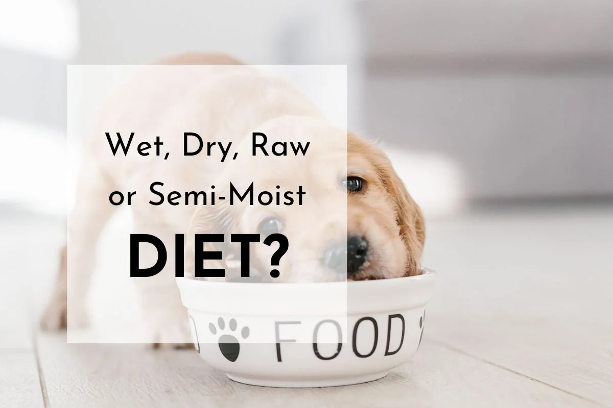Different Types Of Dog Food