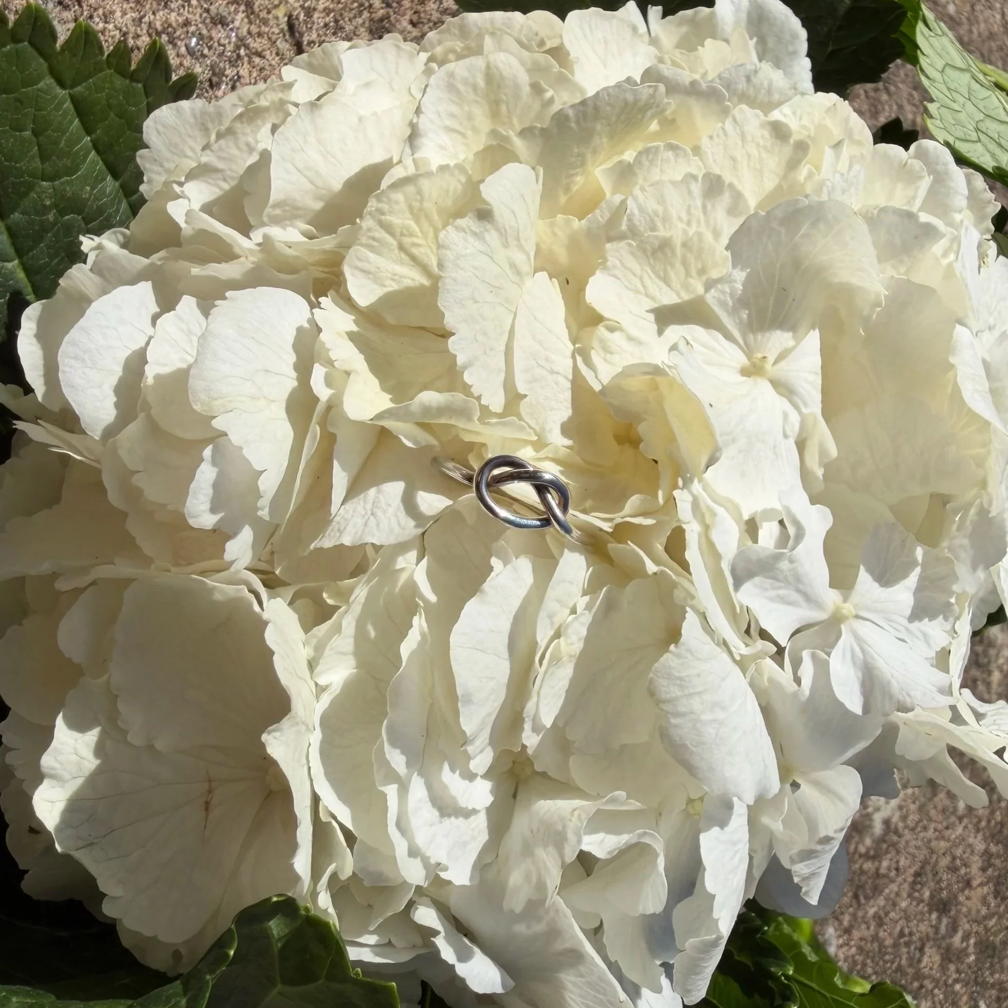 sterling silver knot ring