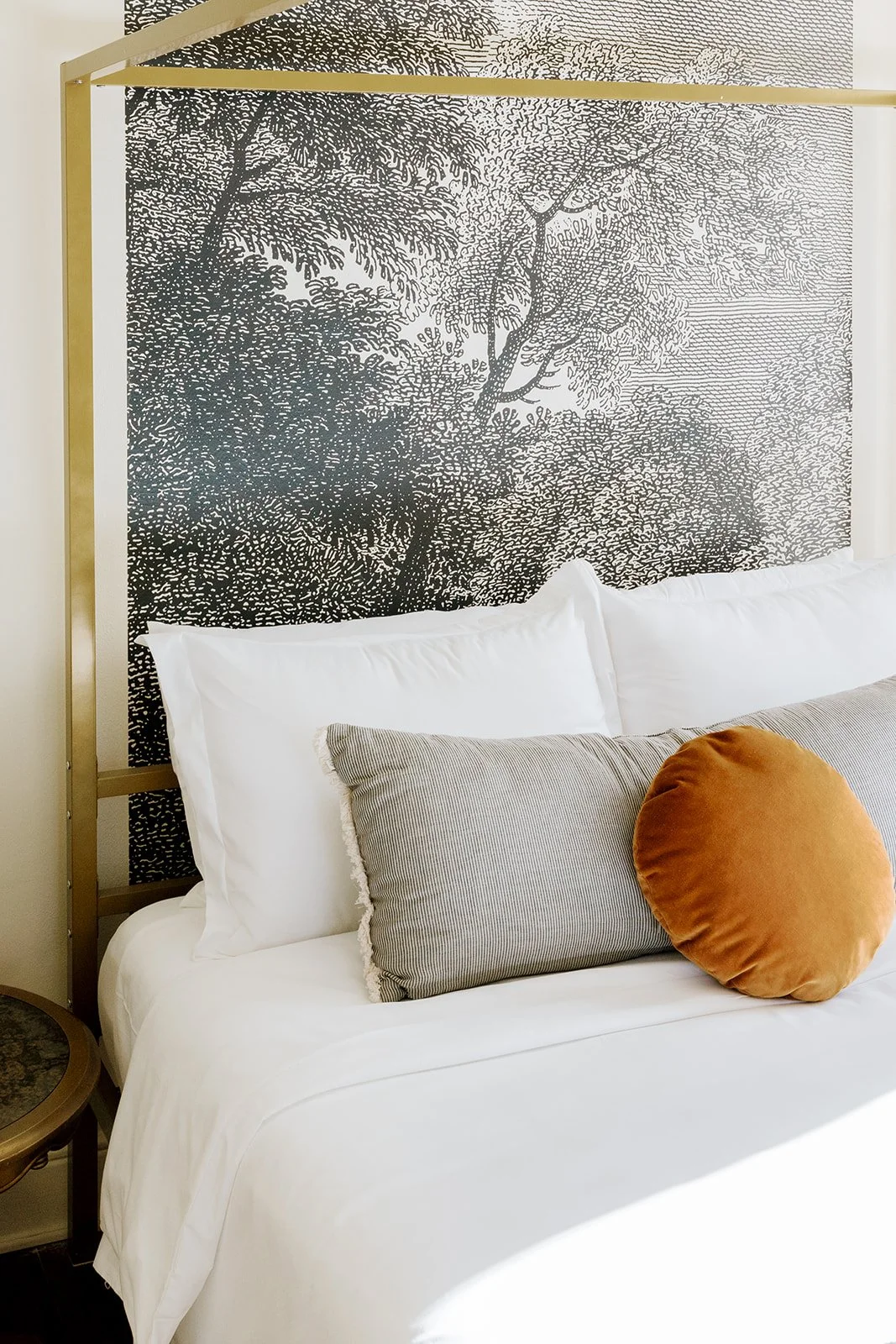 Book Your Stay — The Rainmaker House Historical Chico Airbnb Rooms