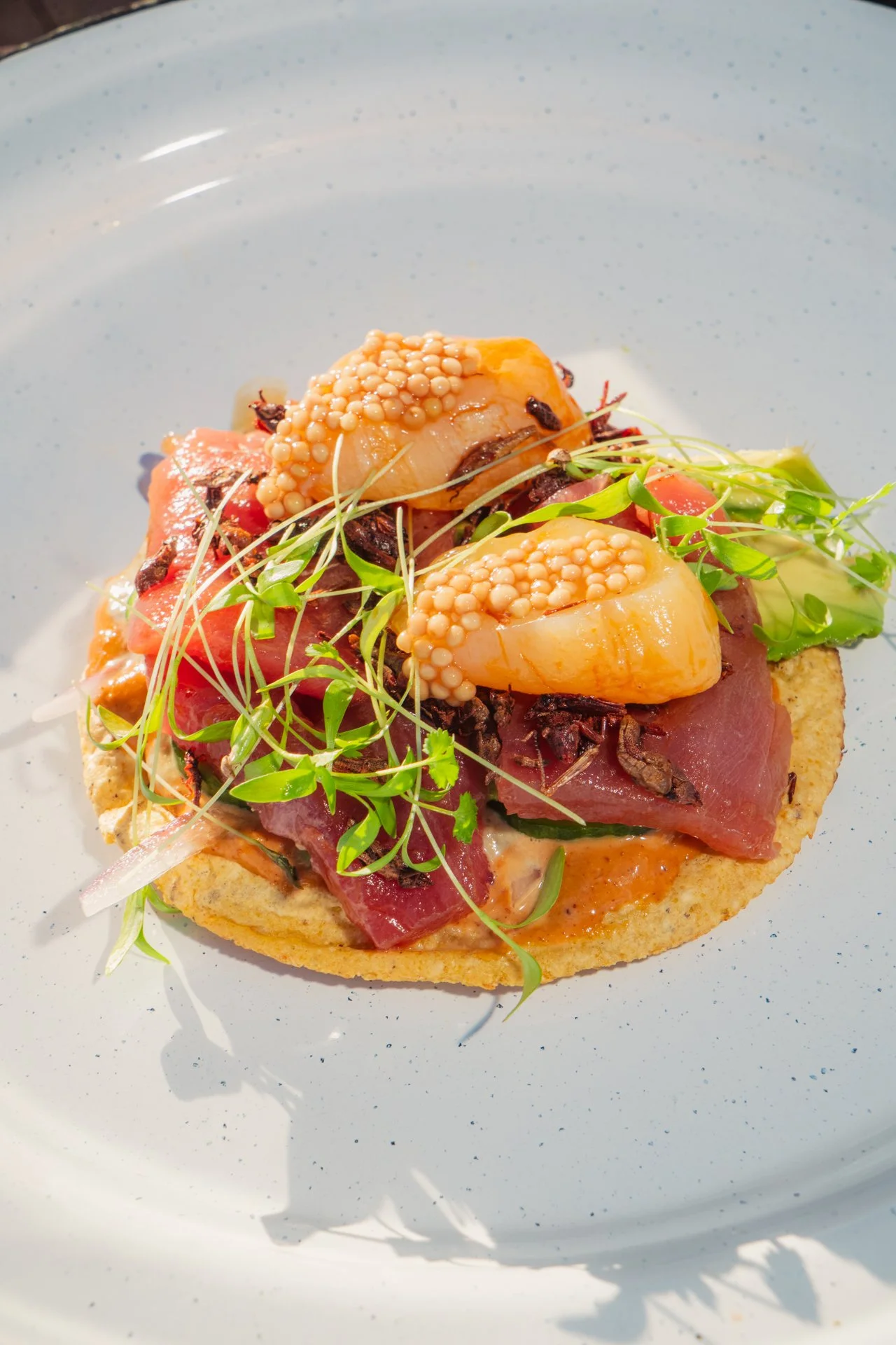 TspCulinary-35.jpg