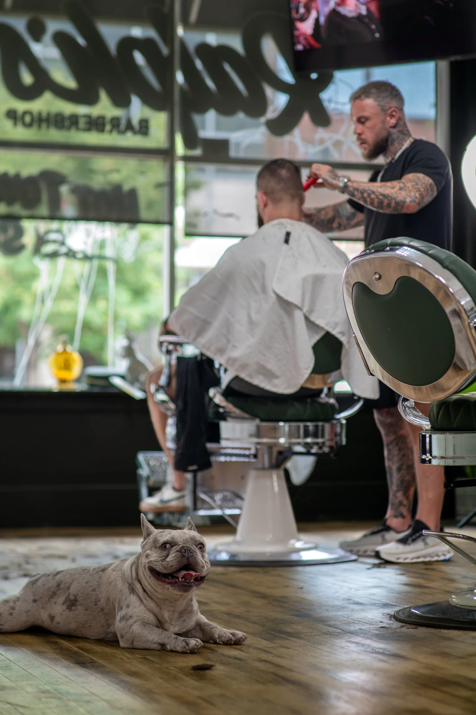 Ralph cutting a customer's hair. Campion on in the foreground on laying on the floor looking at camera