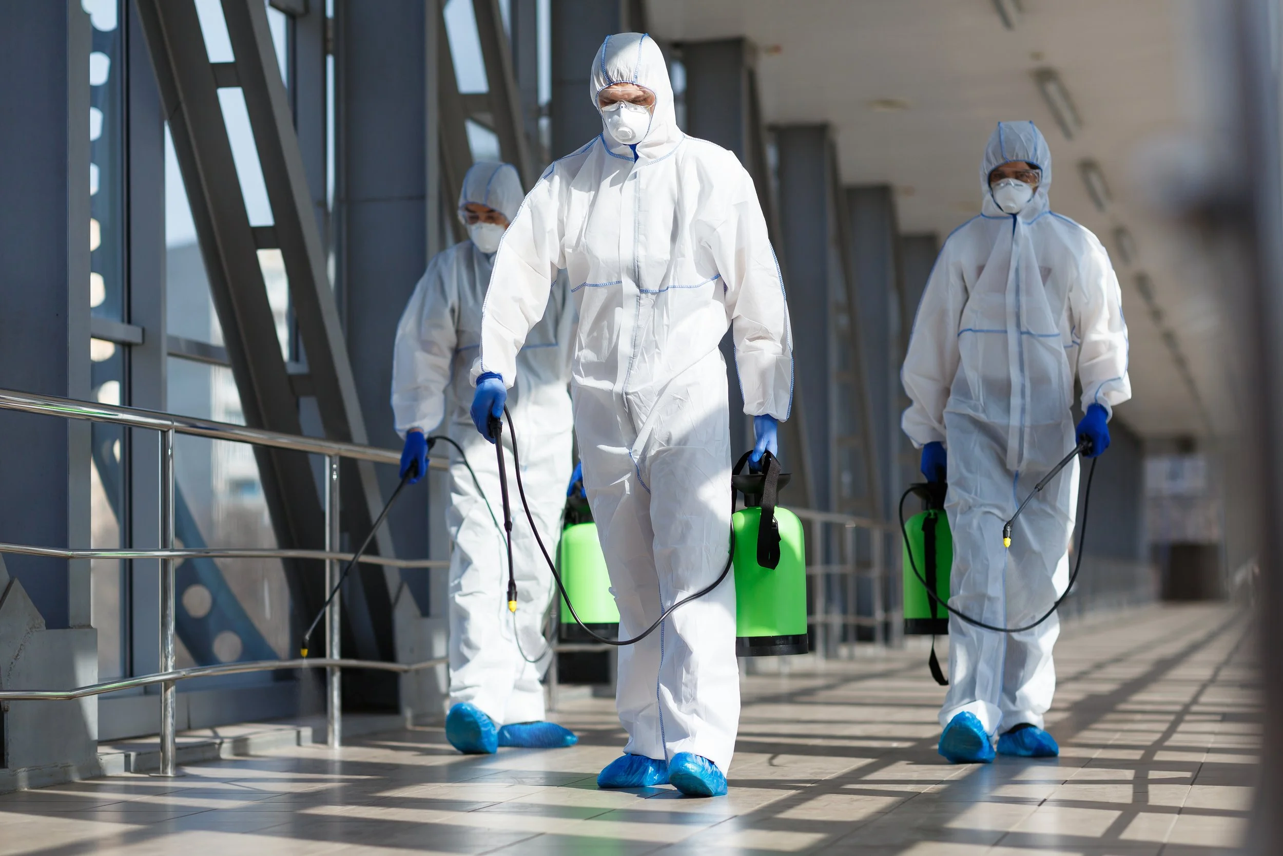 Mold Testing.jpeg