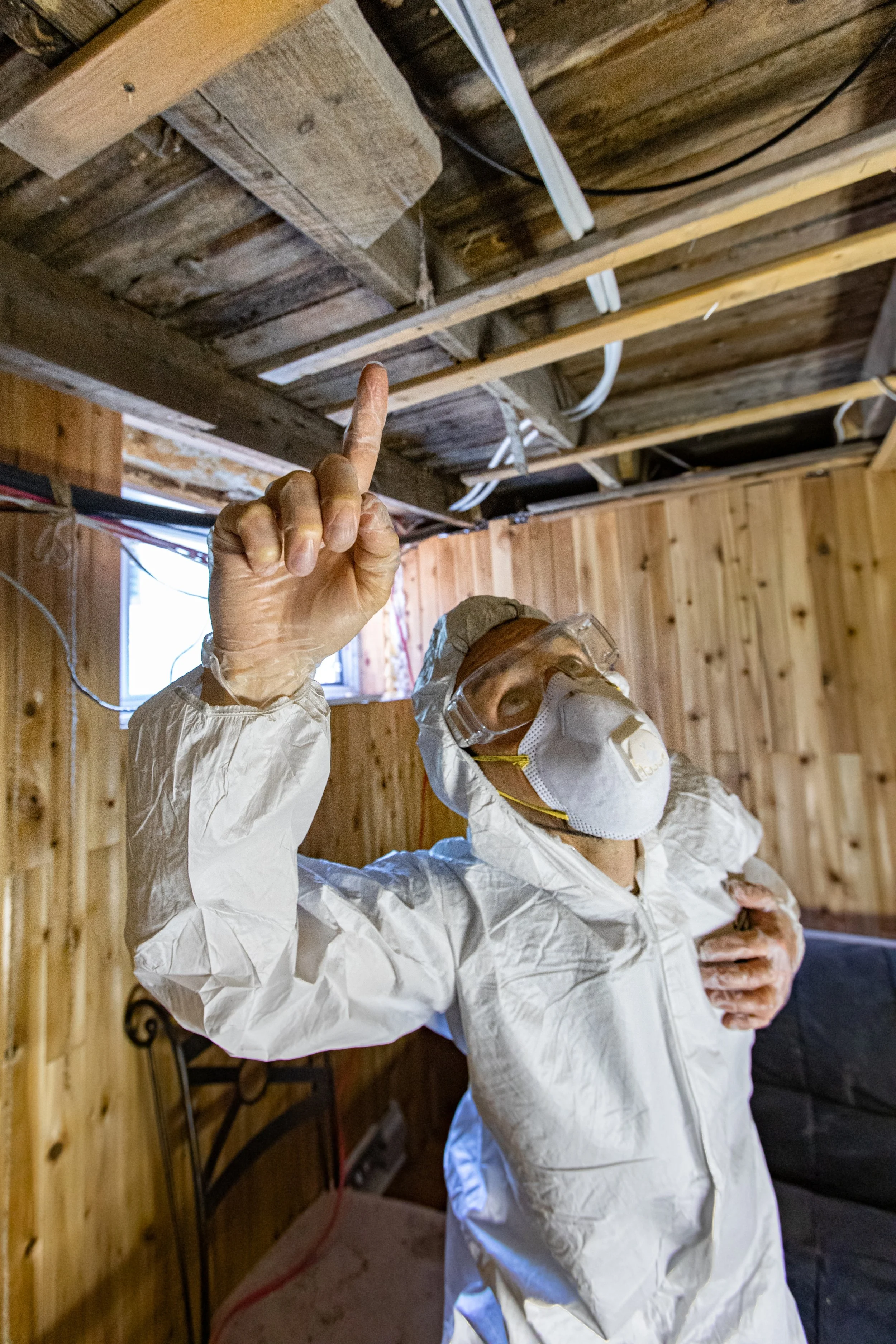Mold Assessors.jpeg