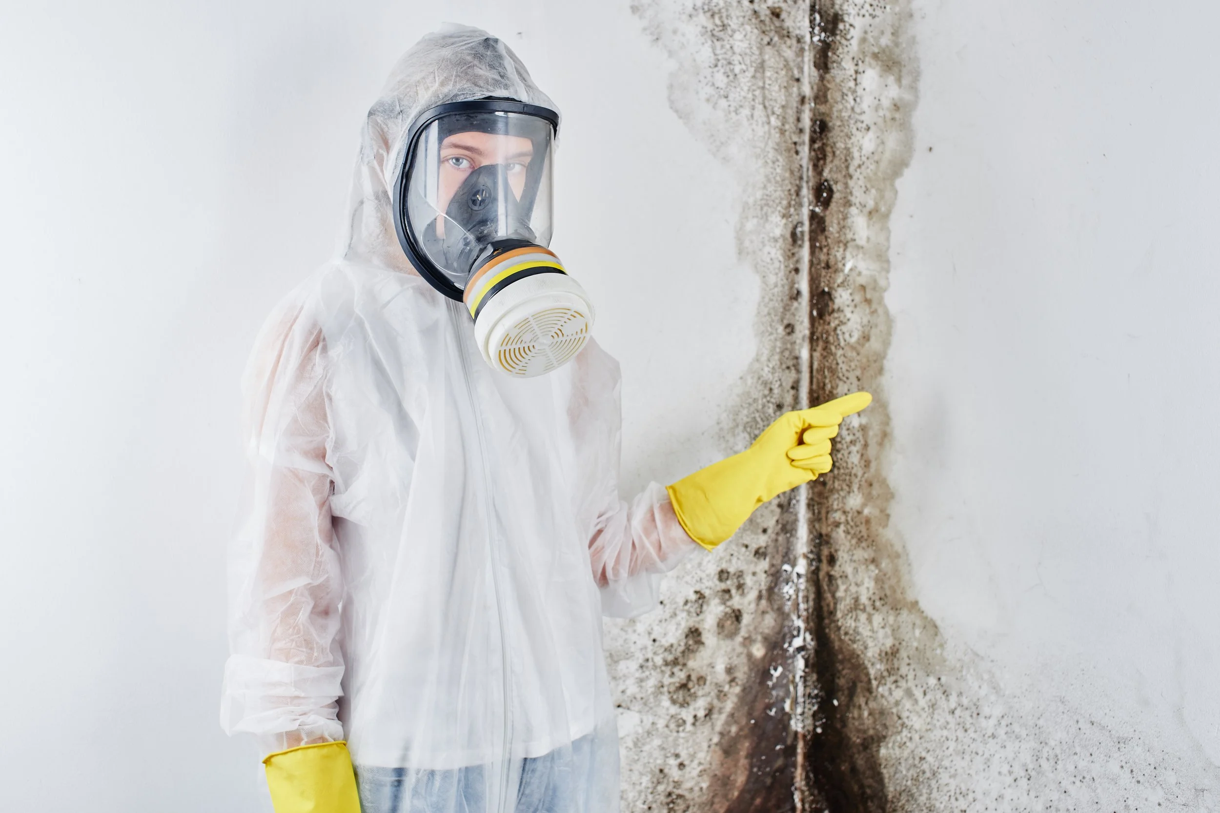 mold-hazard-on-wall.jpeg