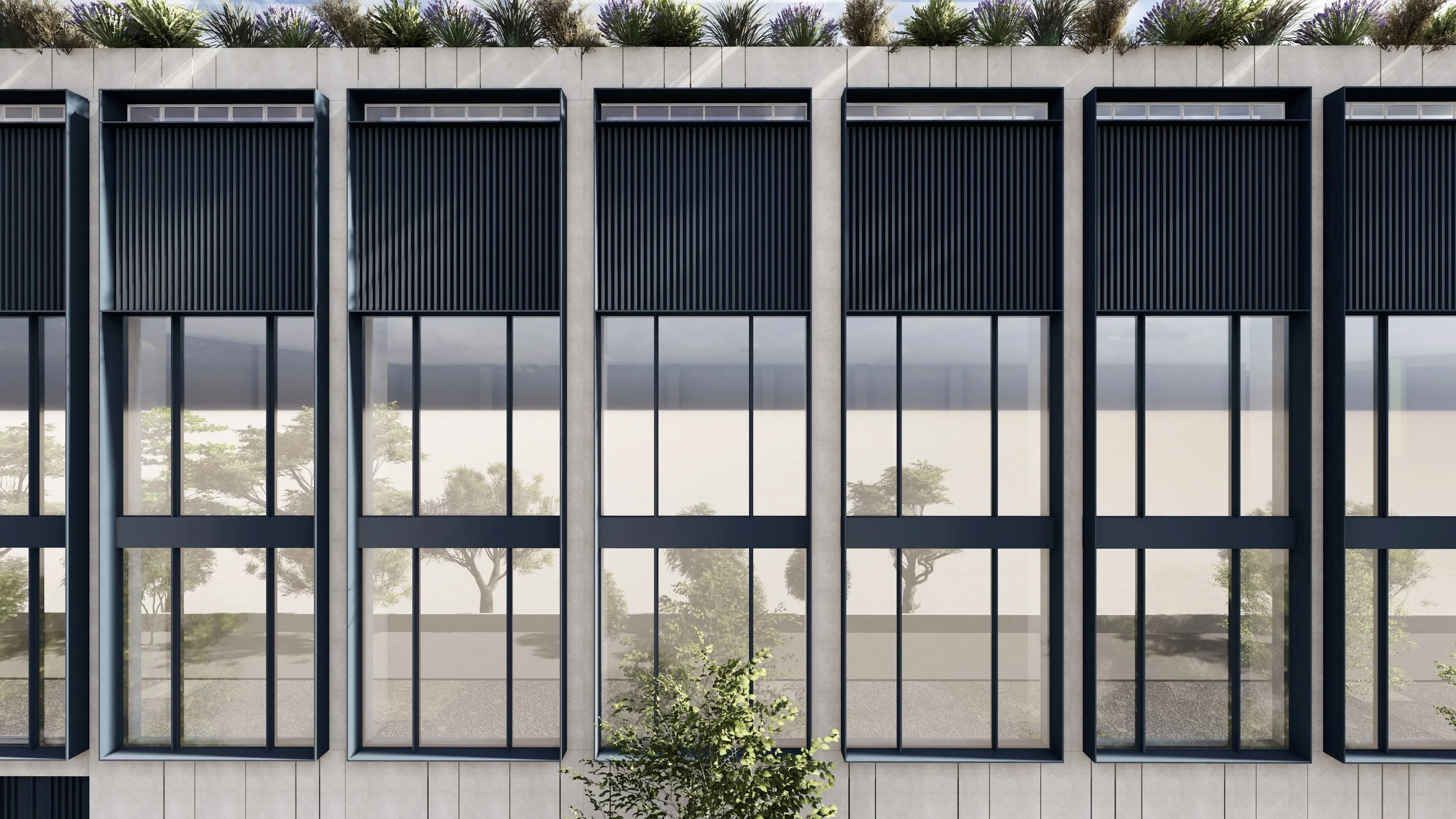 T_3 - Photo_Edit.jpg