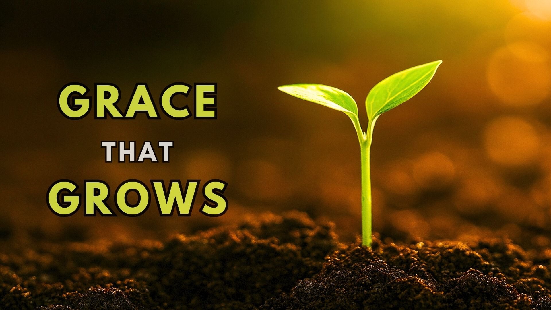 Grace that Grows: Cultivating a Culture of Mercy and Maturity