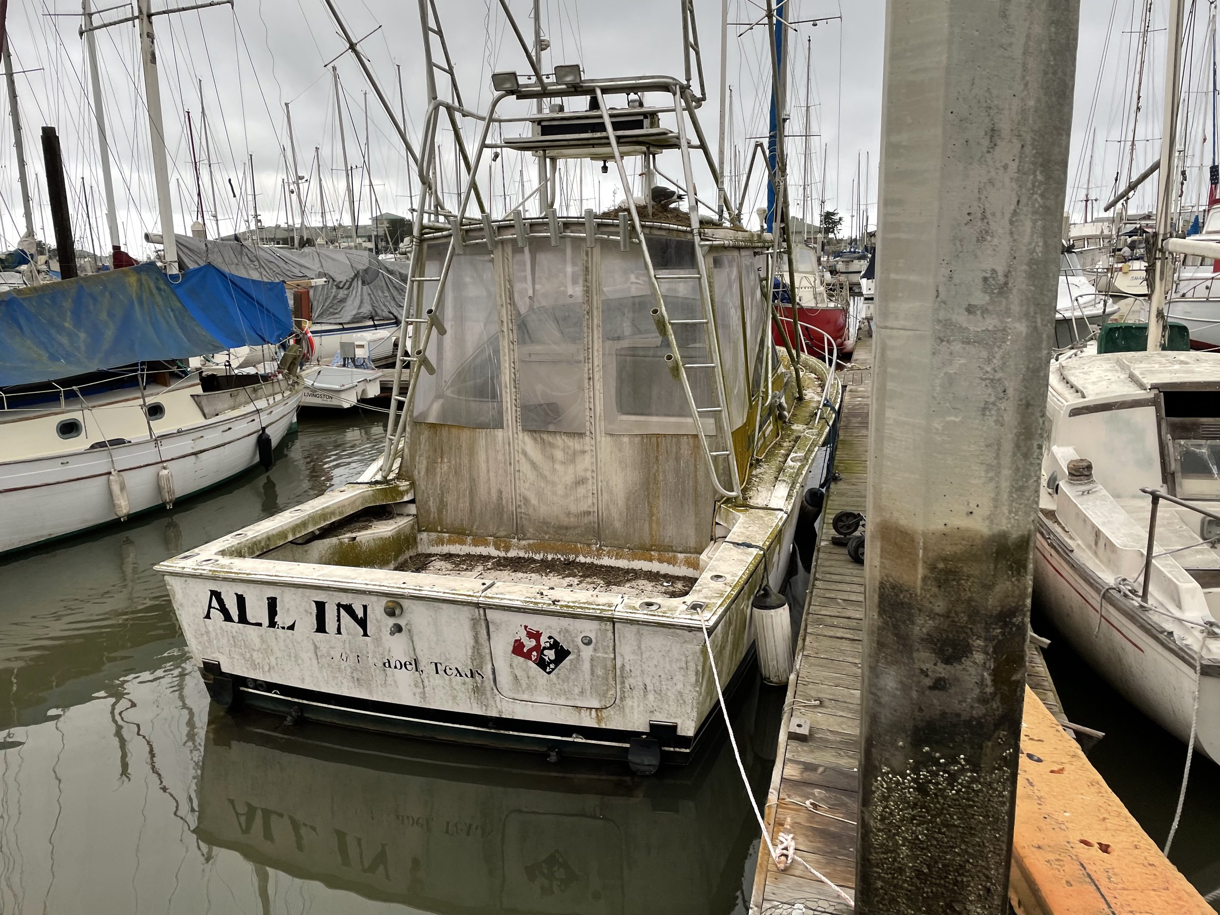 IMG_0892.jpeg