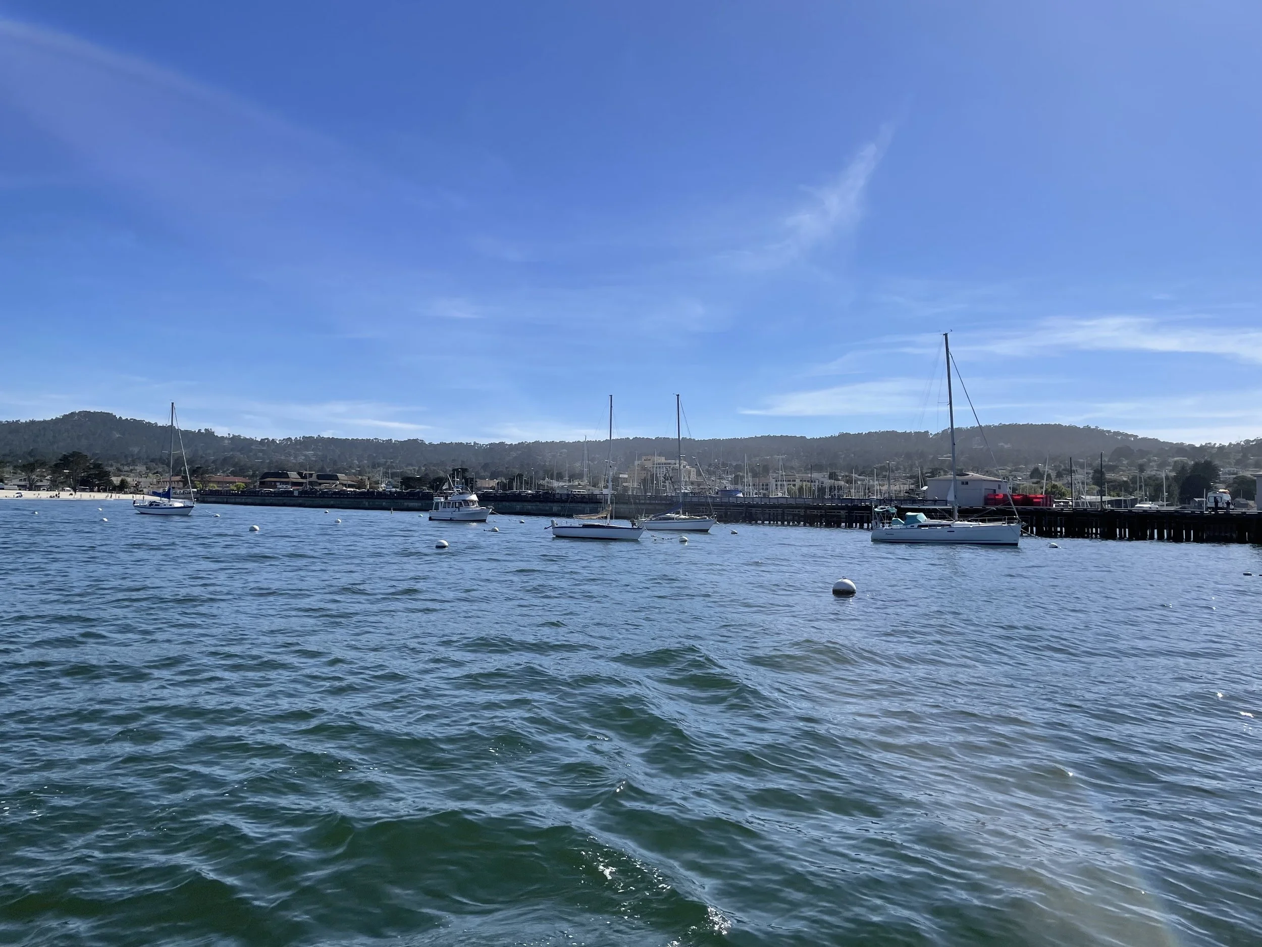 IMG_1397.jpeg