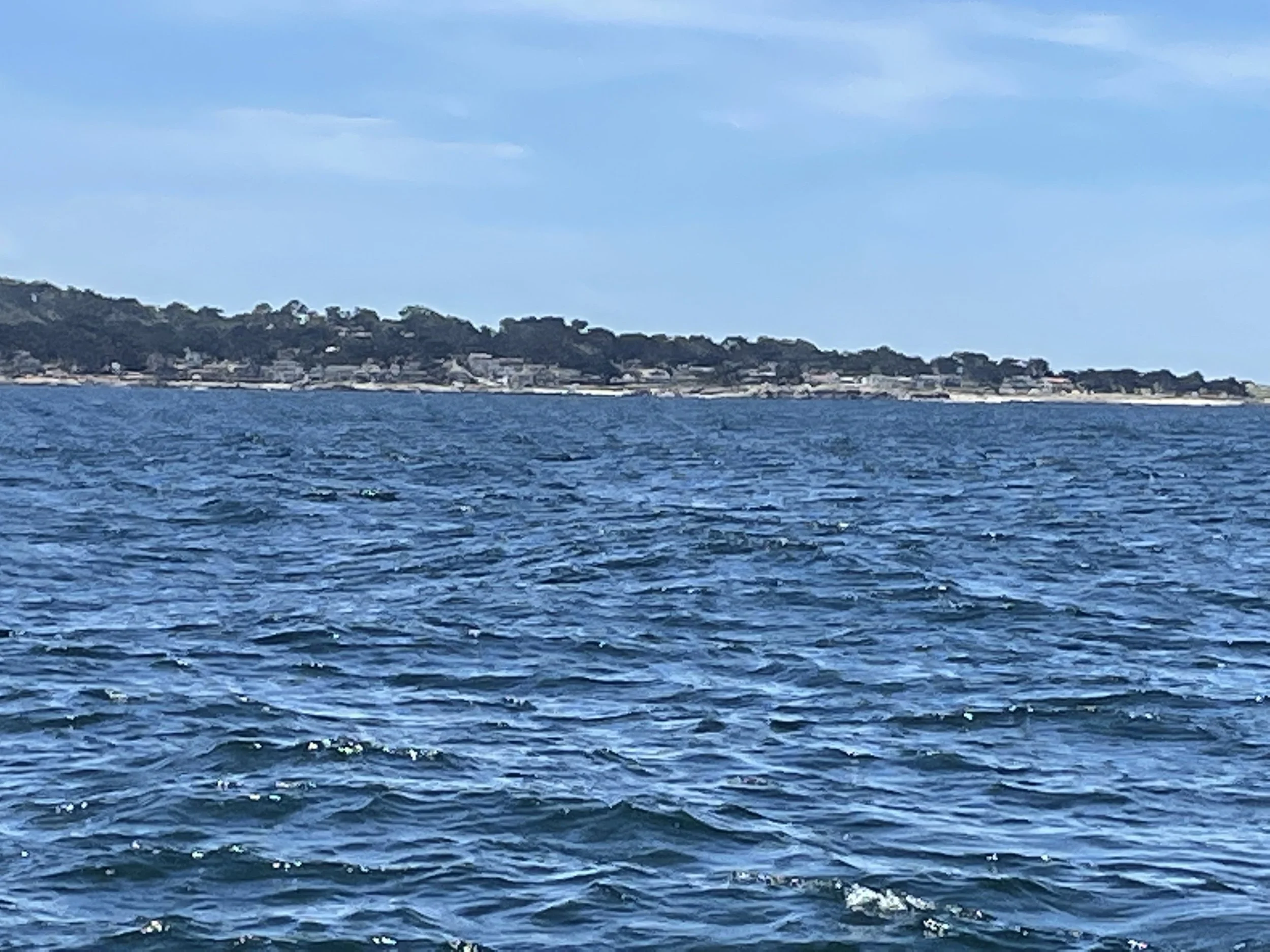 IMG_1329.jpeg