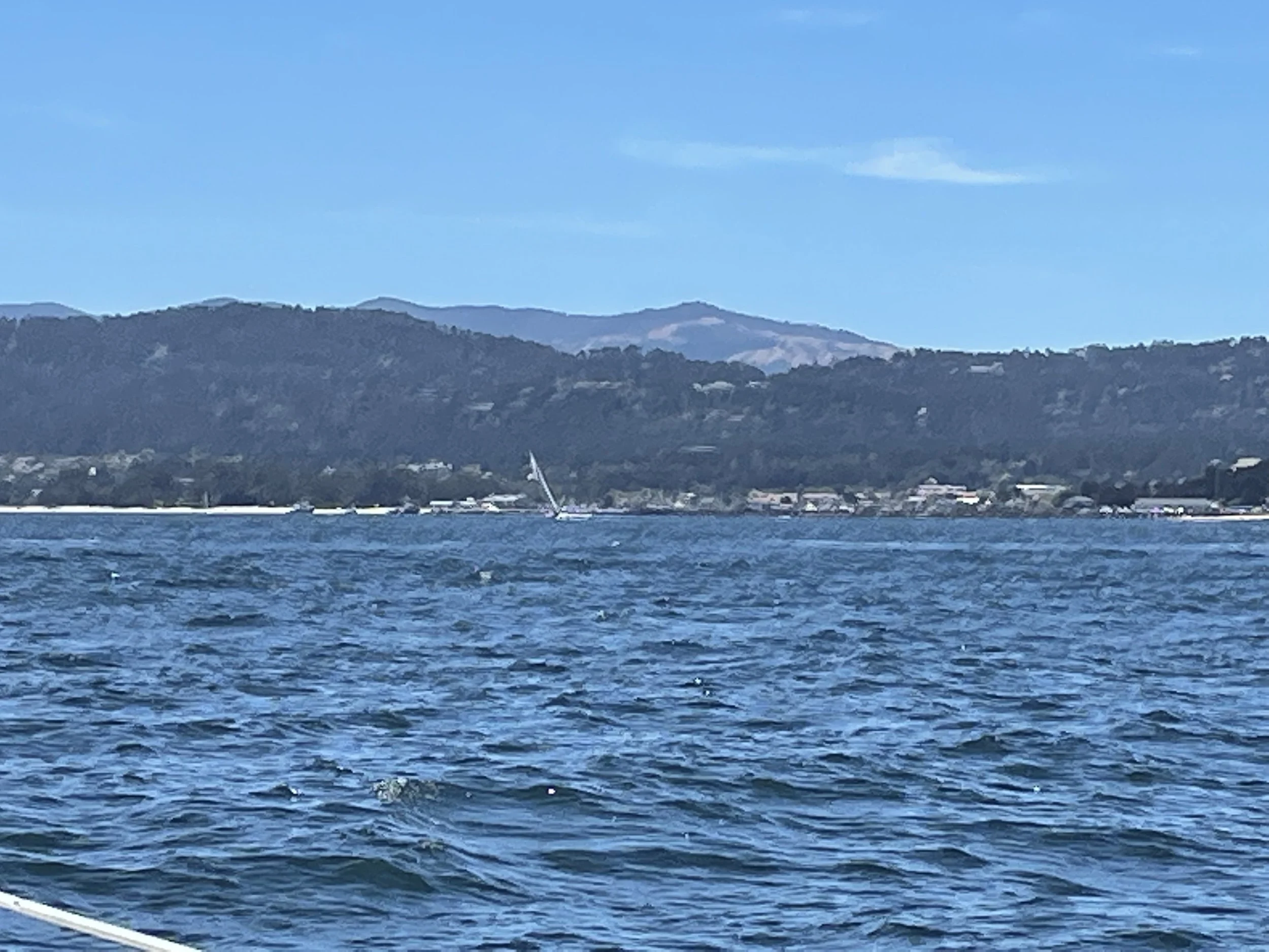 IMG_1335.jpeg