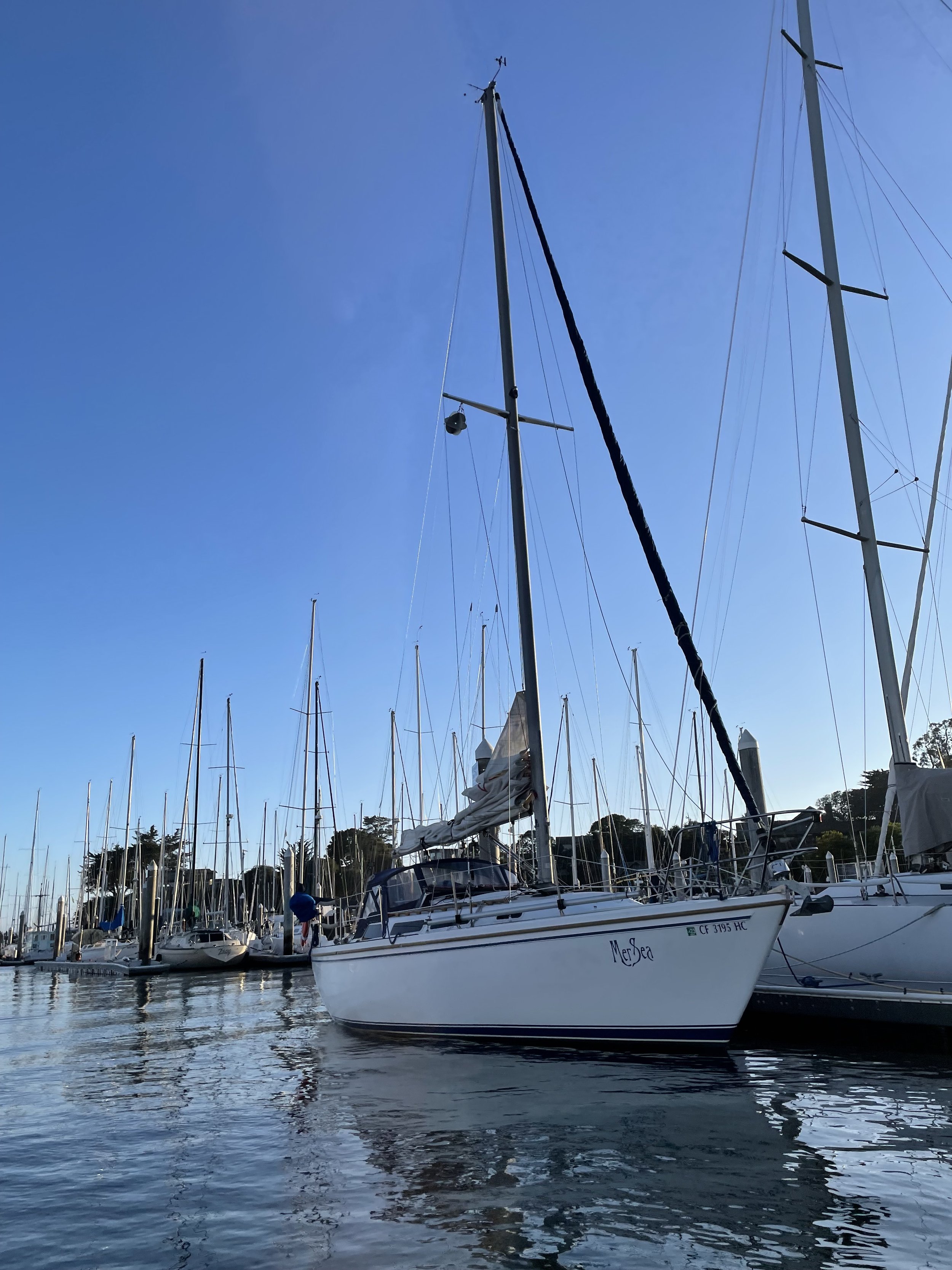 Bon Voyage!