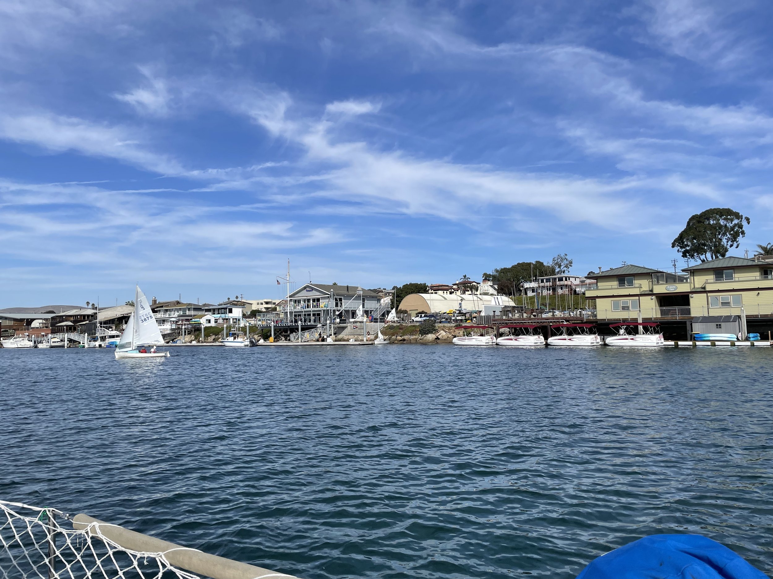 IMG_2636.jpeg