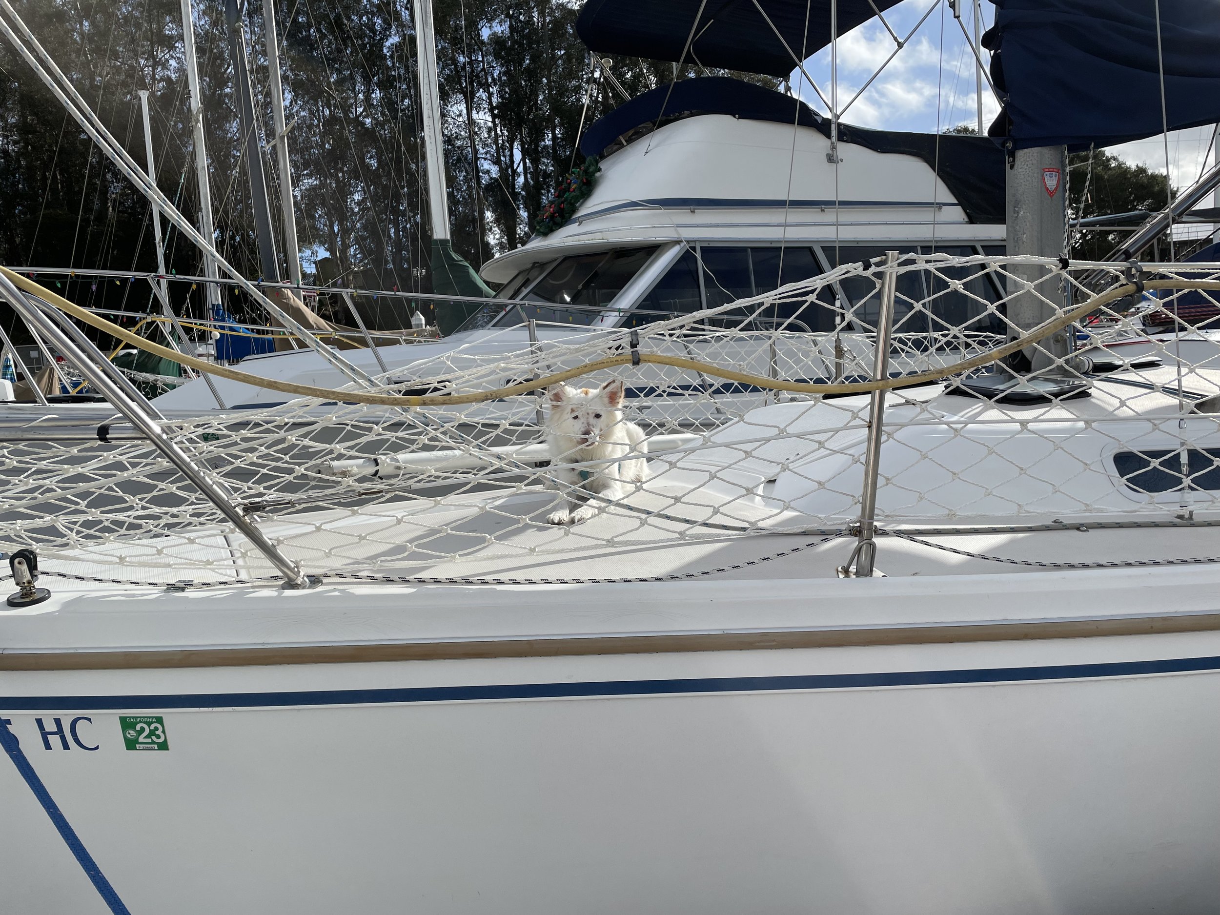 Back To The Boat
