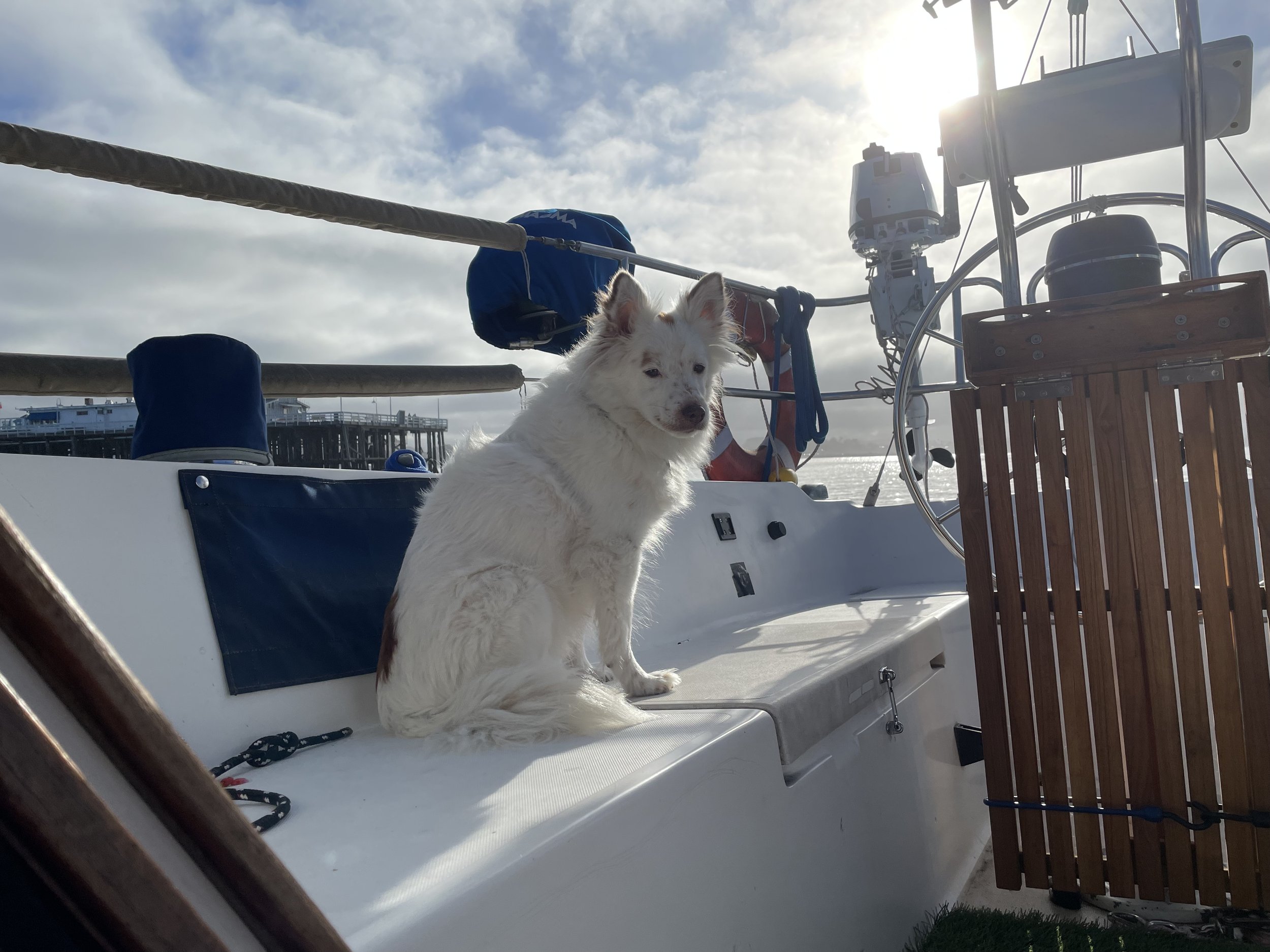 Anchored Out