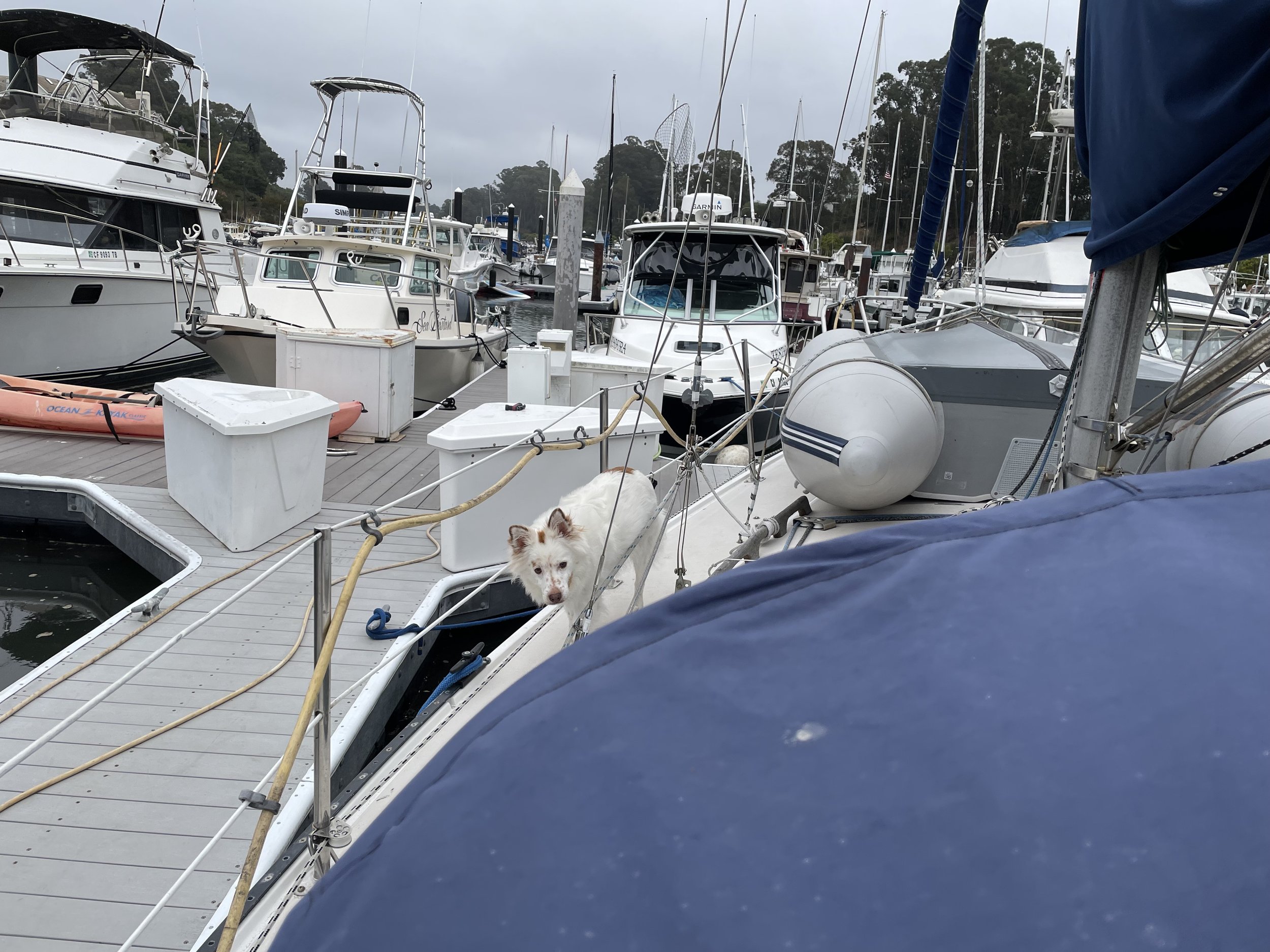 IMG_5621.jpeg