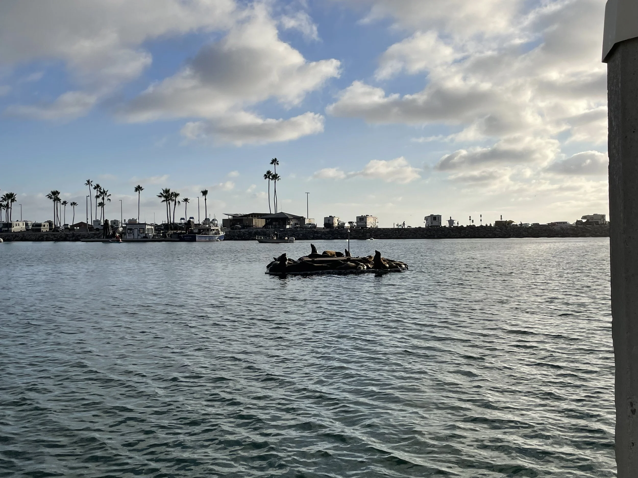 IMG_6492.jpeg