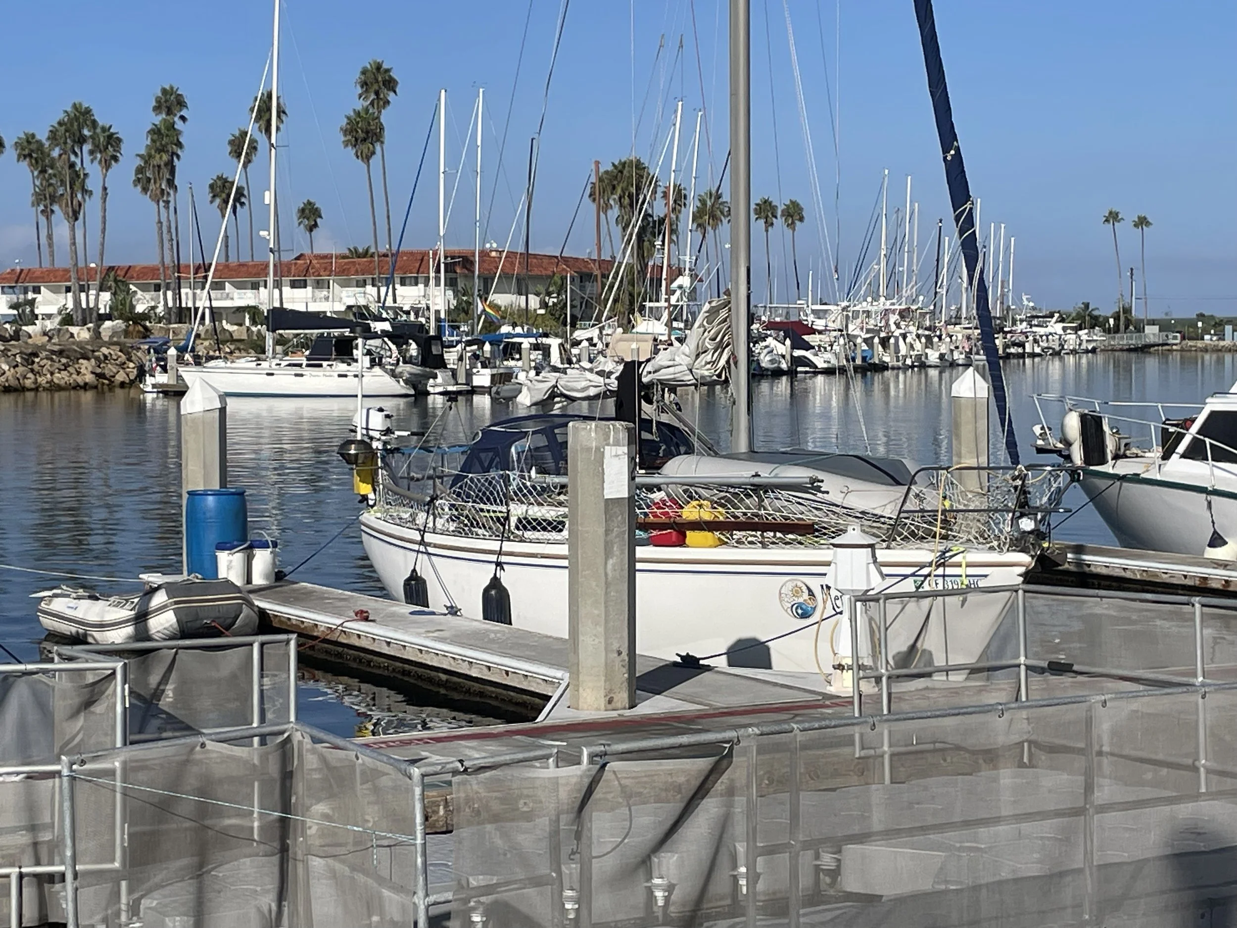 IMG_6506.jpeg