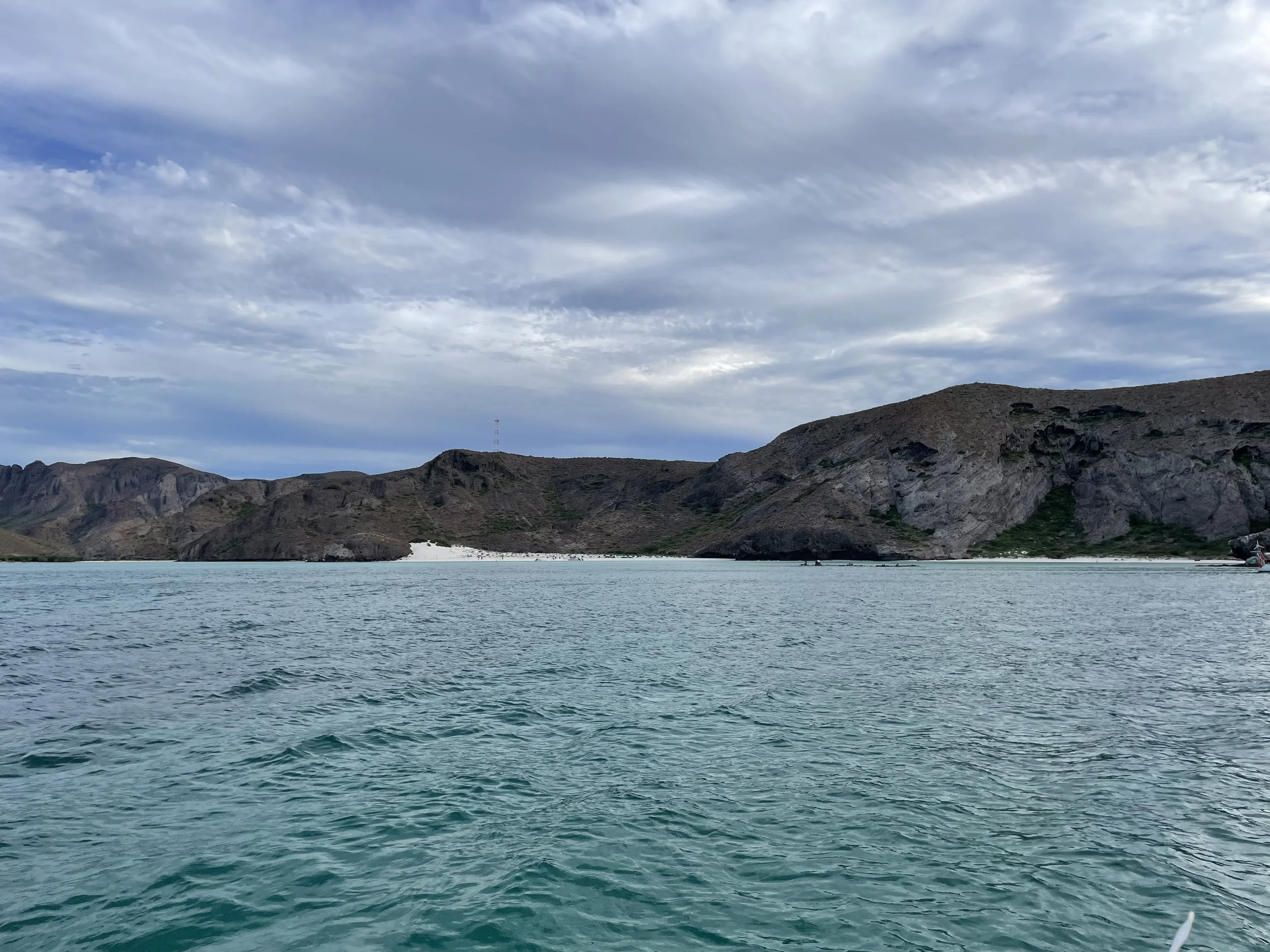 IMG_7250.jpeg