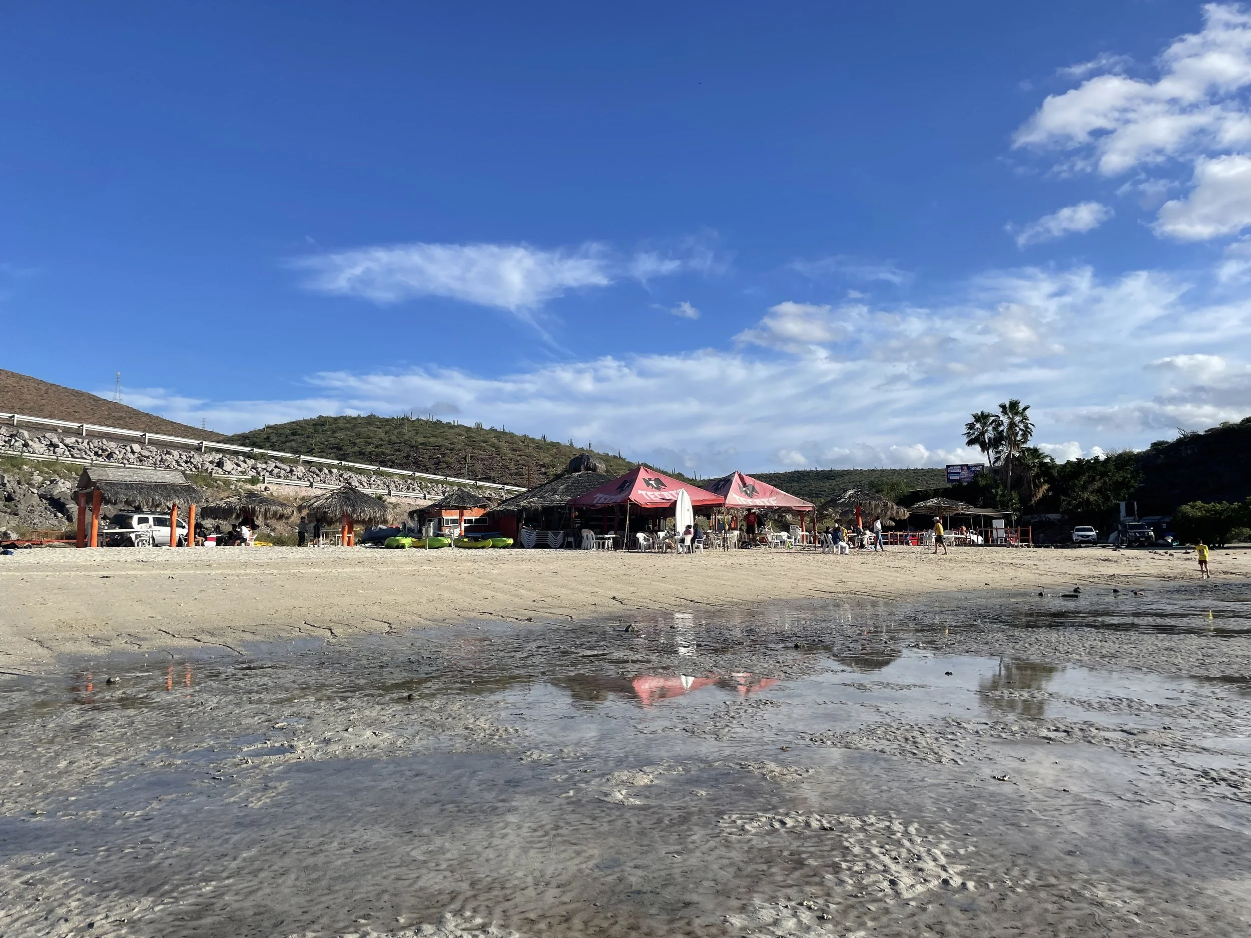 IMG_7297.jpeg