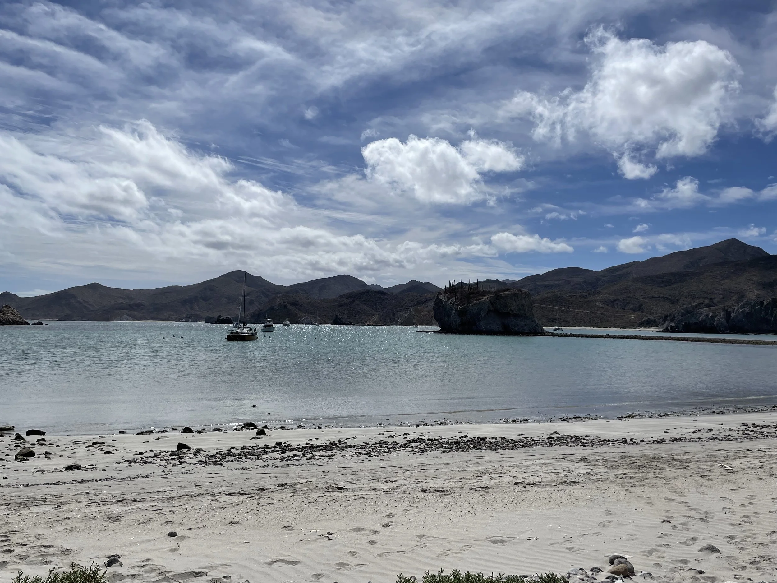 IMG_7817.jpeg