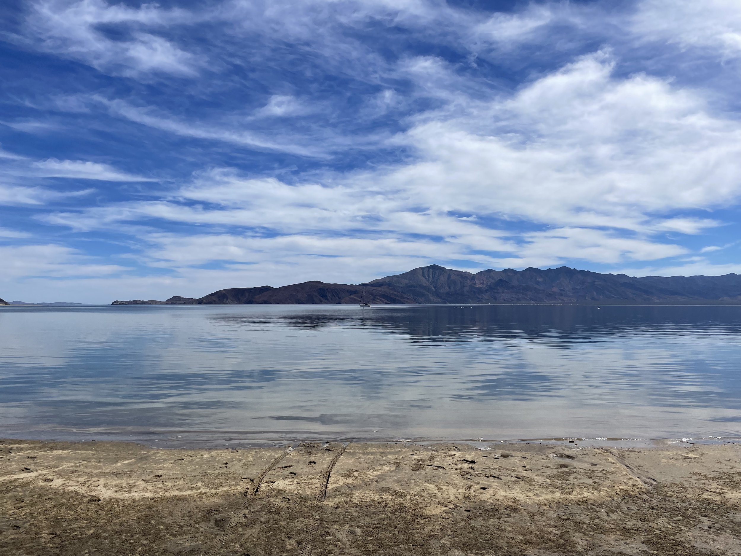 IMG_8043.jpeg