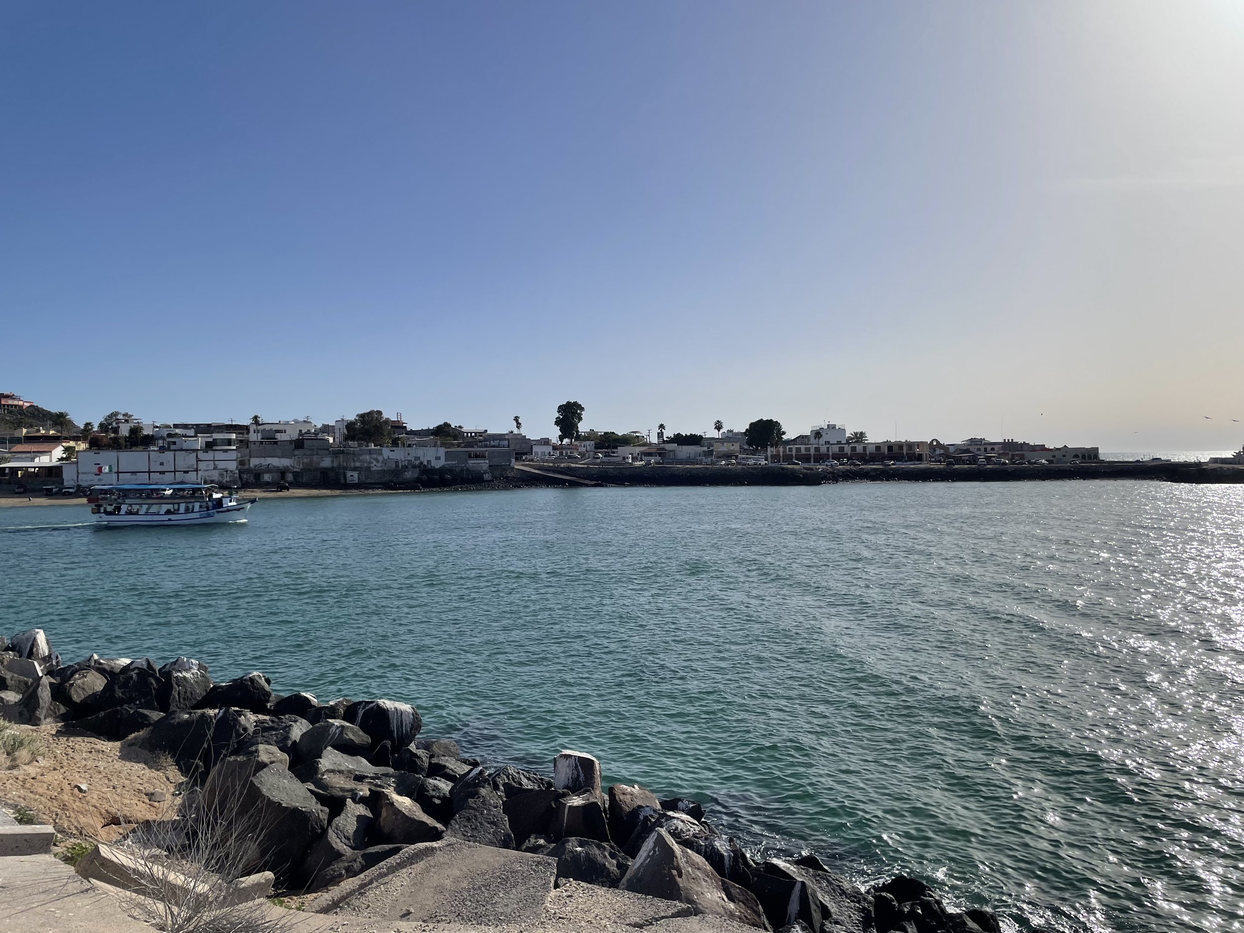 IMG_8168.jpeg