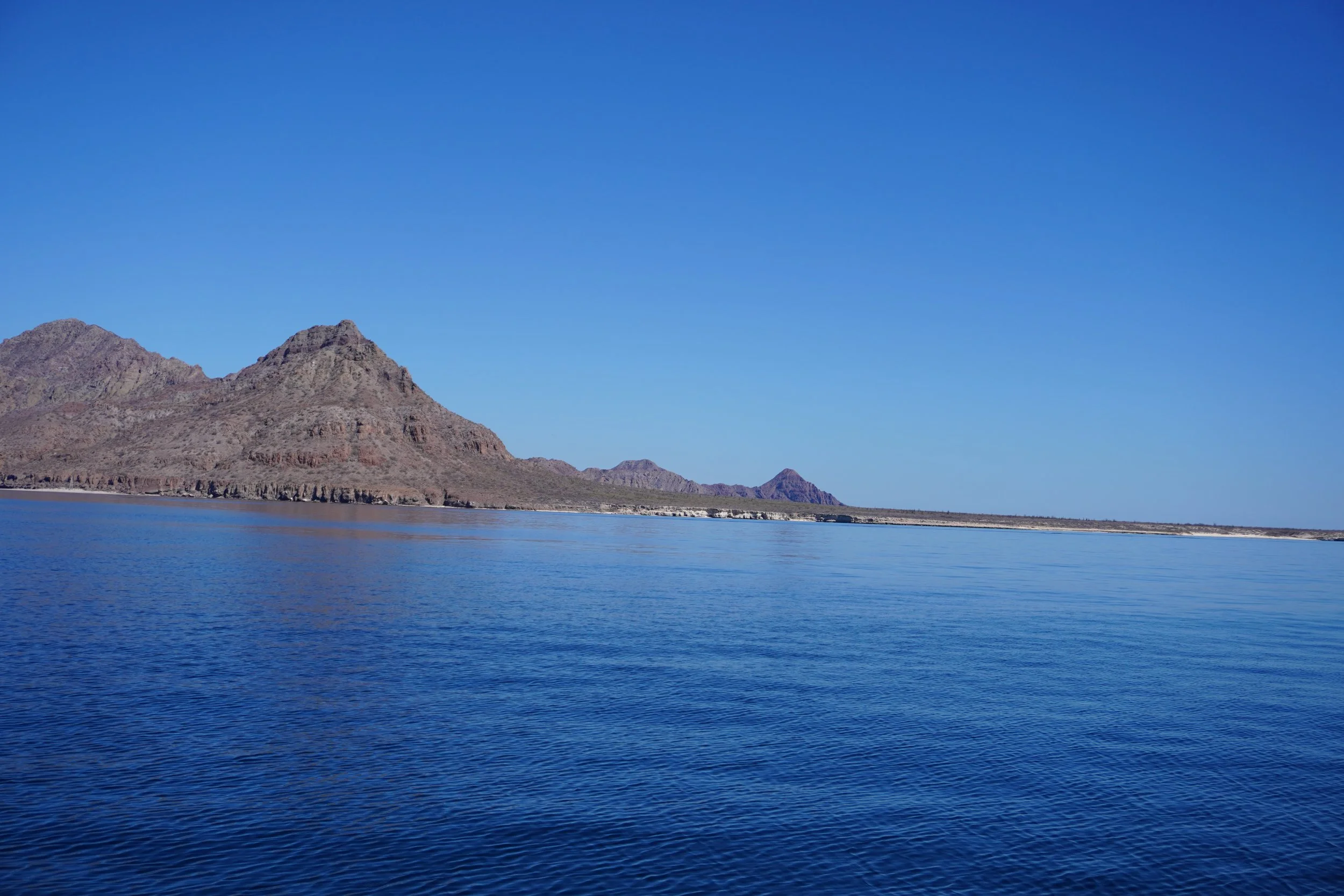 DSC00567.JPG