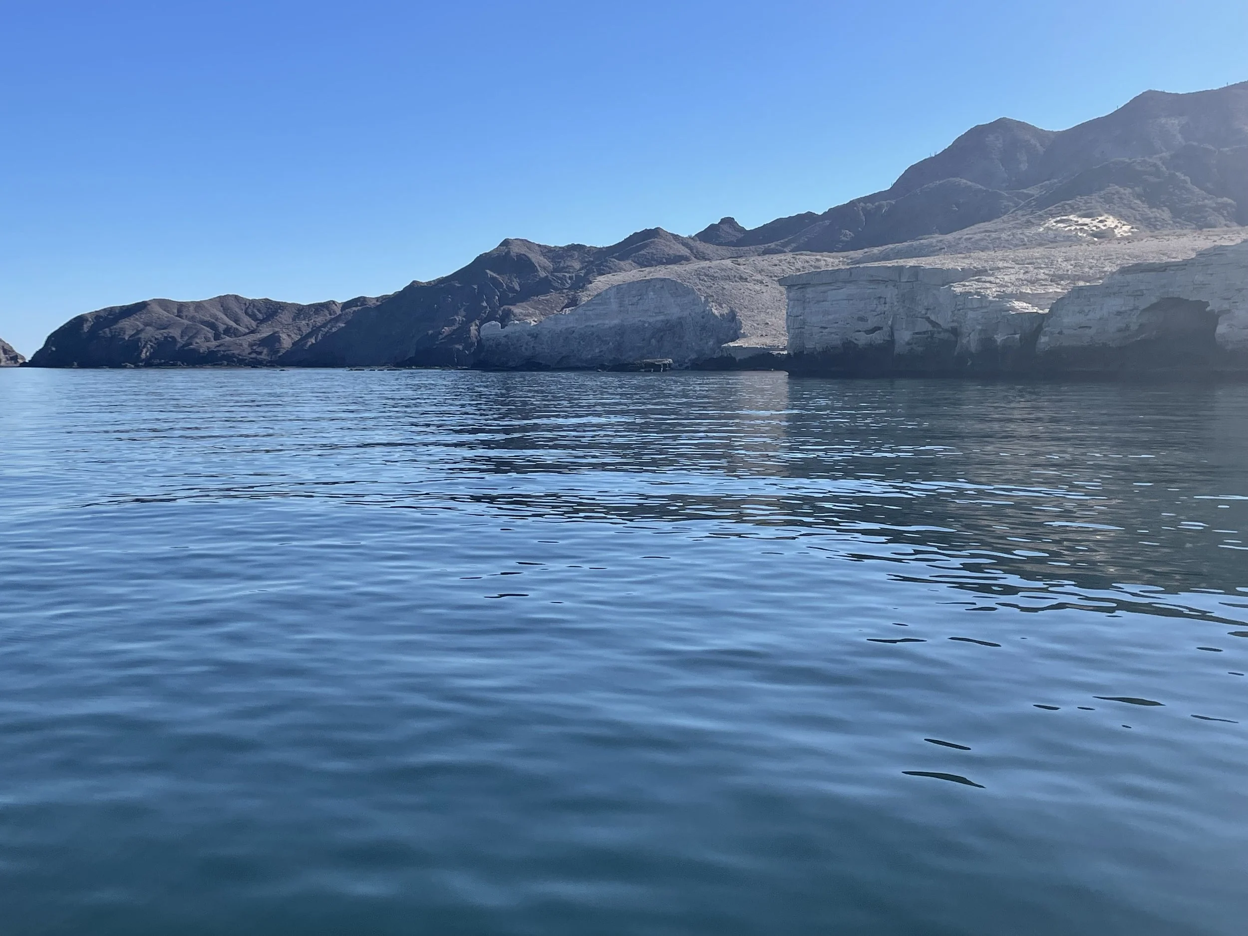 IMG_0640.jpeg