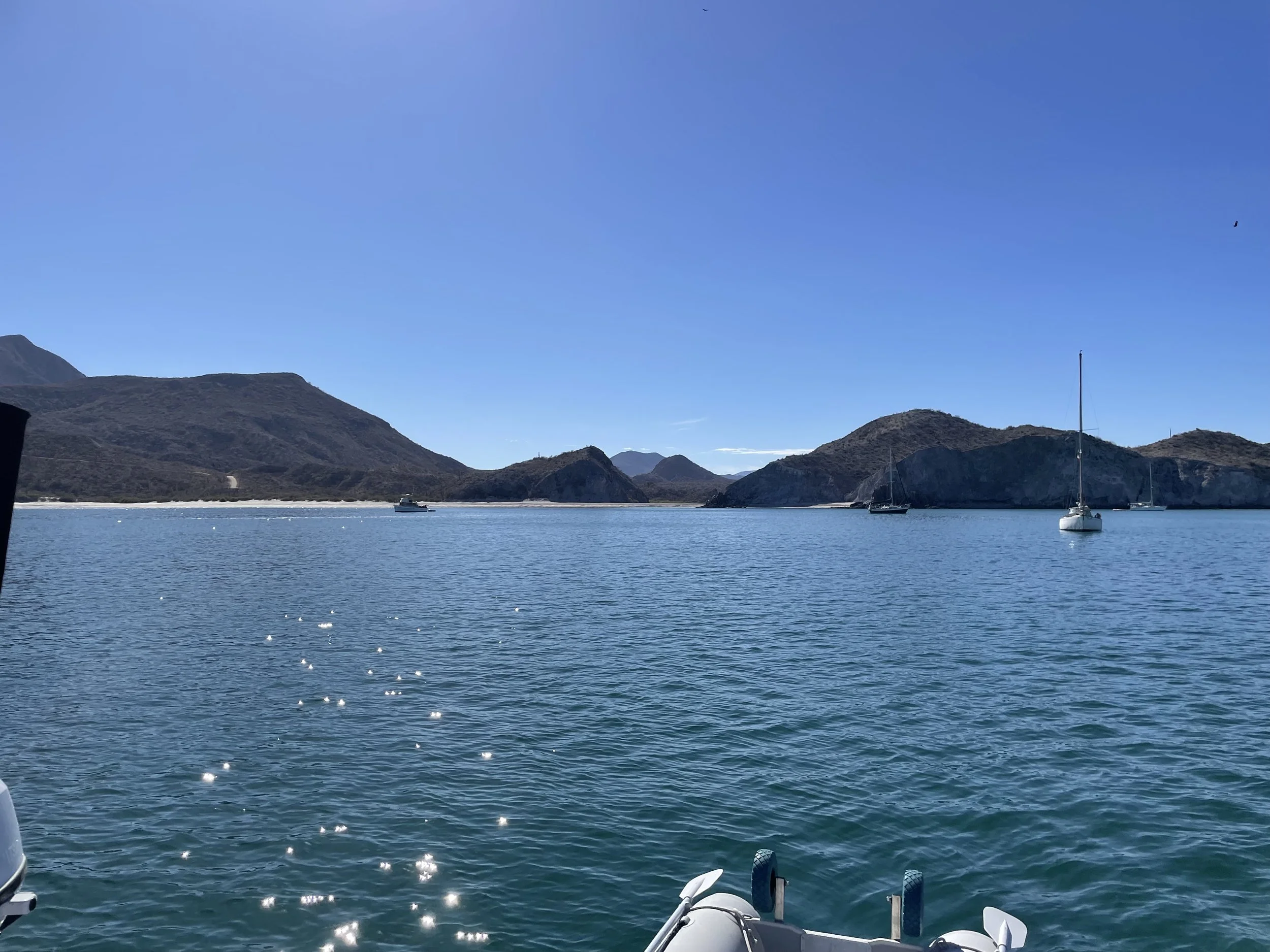 IMG_0821.jpeg