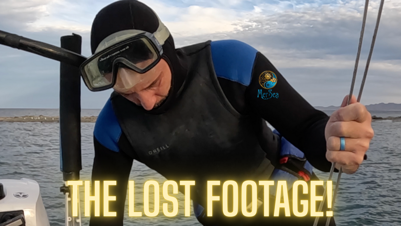 The Lost Footage: March 1st & 2nd, 2025