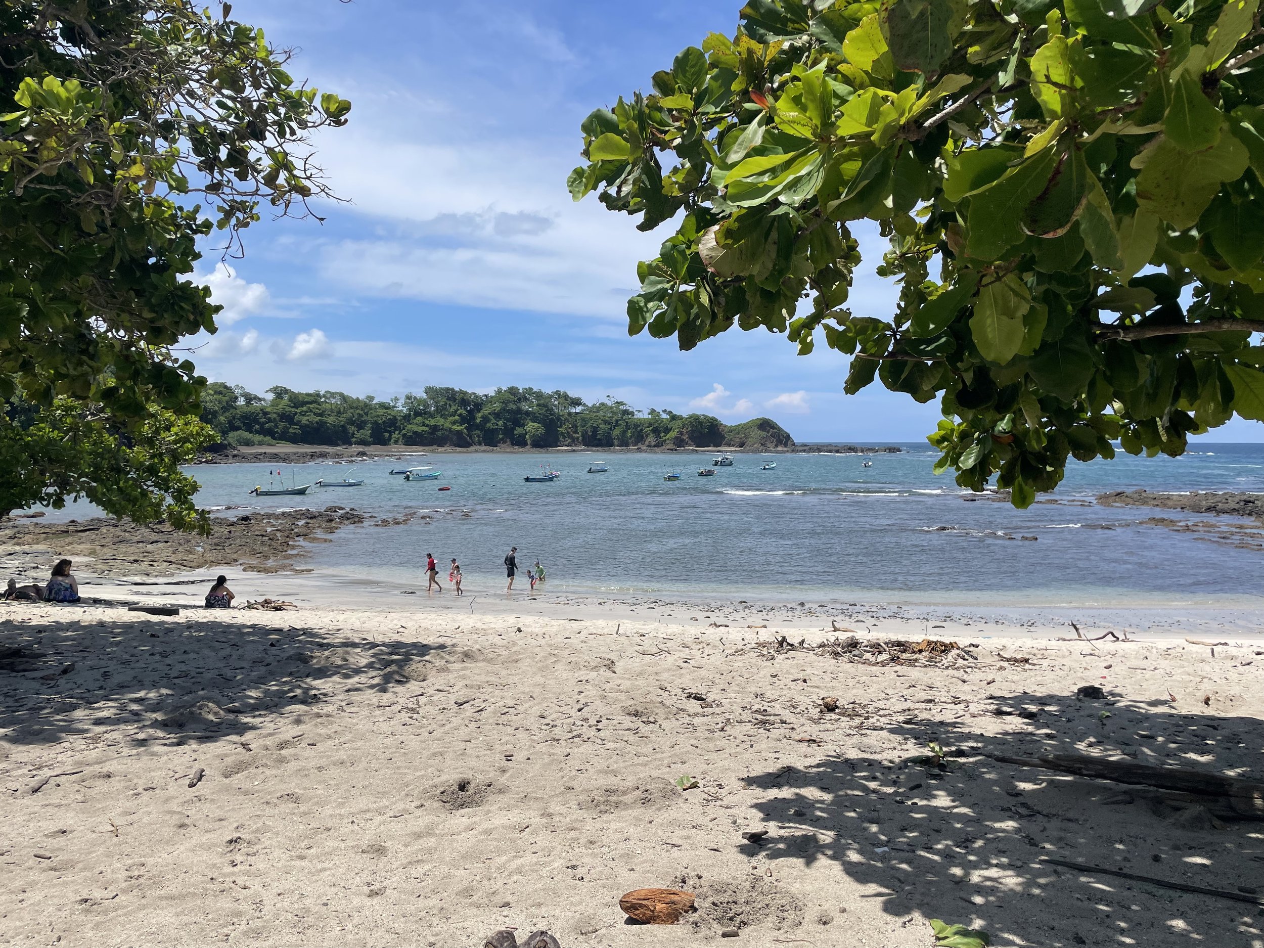 IMG_1722.jpeg