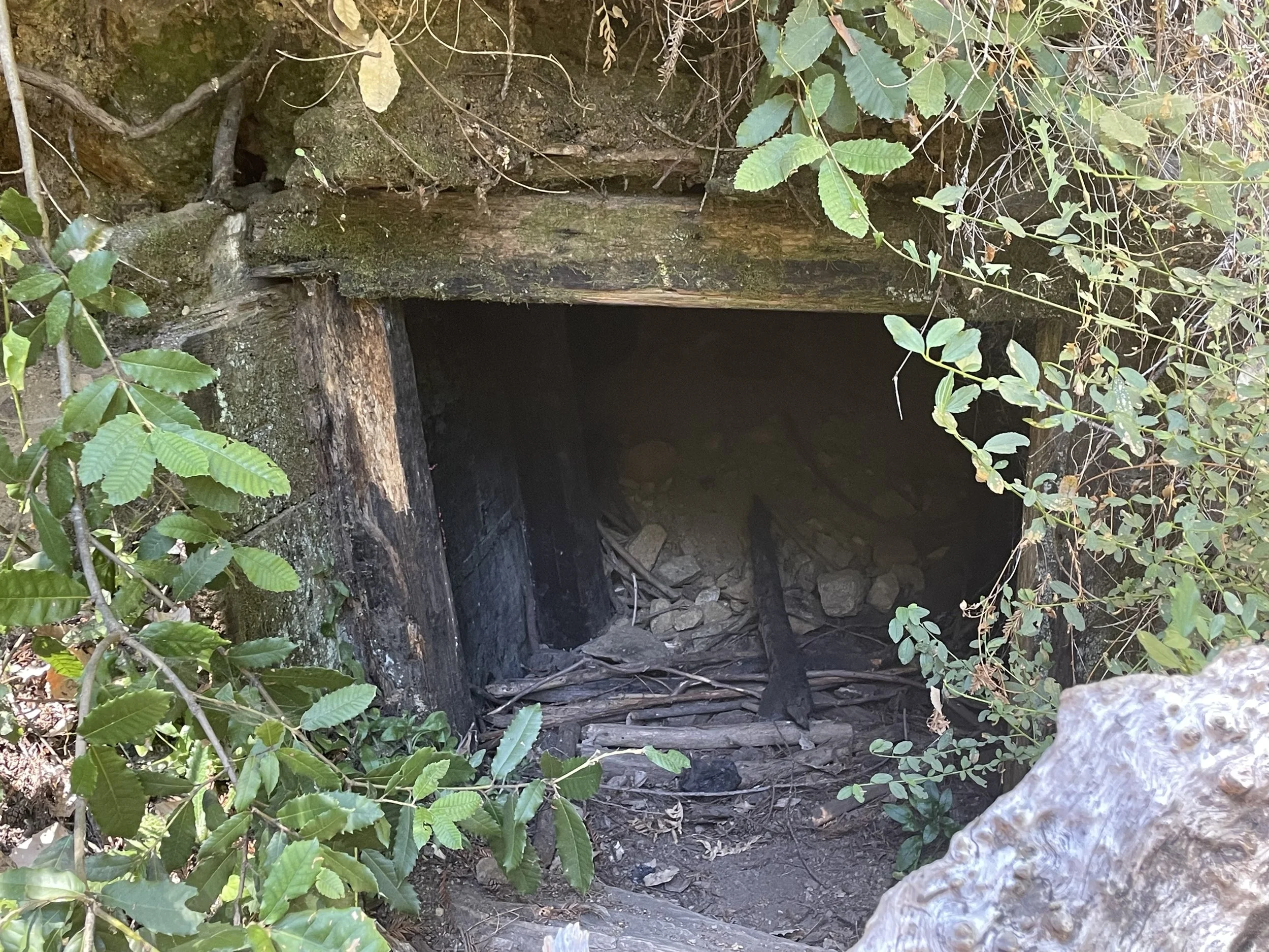 IMG_1944.jpeg