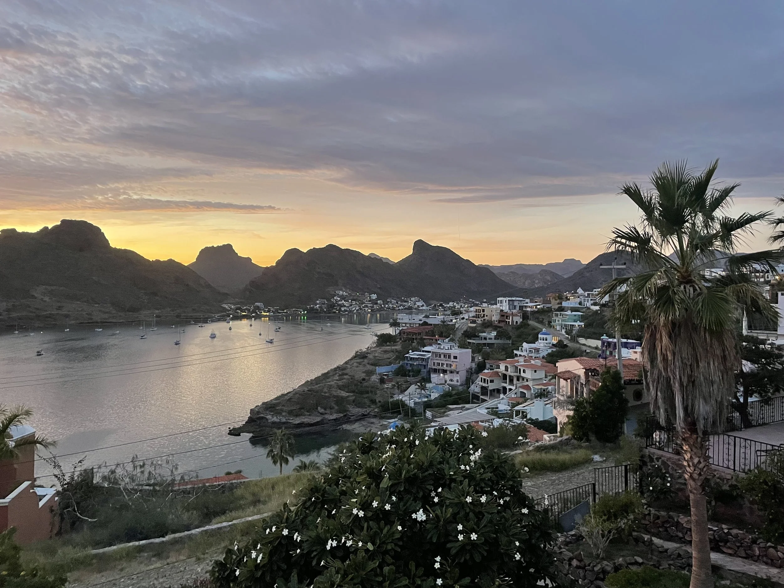 Back To MerSea In Mexico: December 1st, 2025