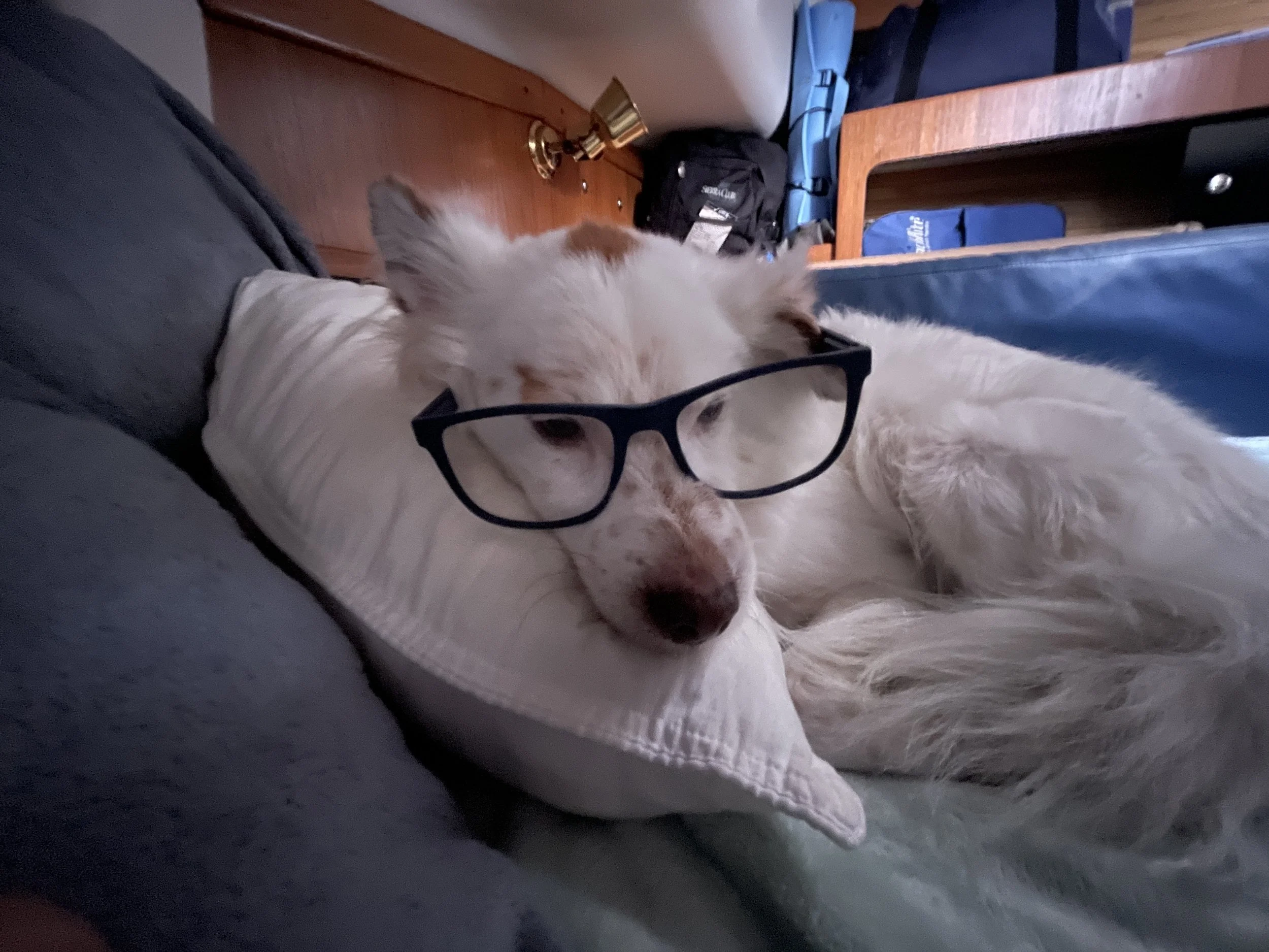 Bit By Bit: December 17th, 2025