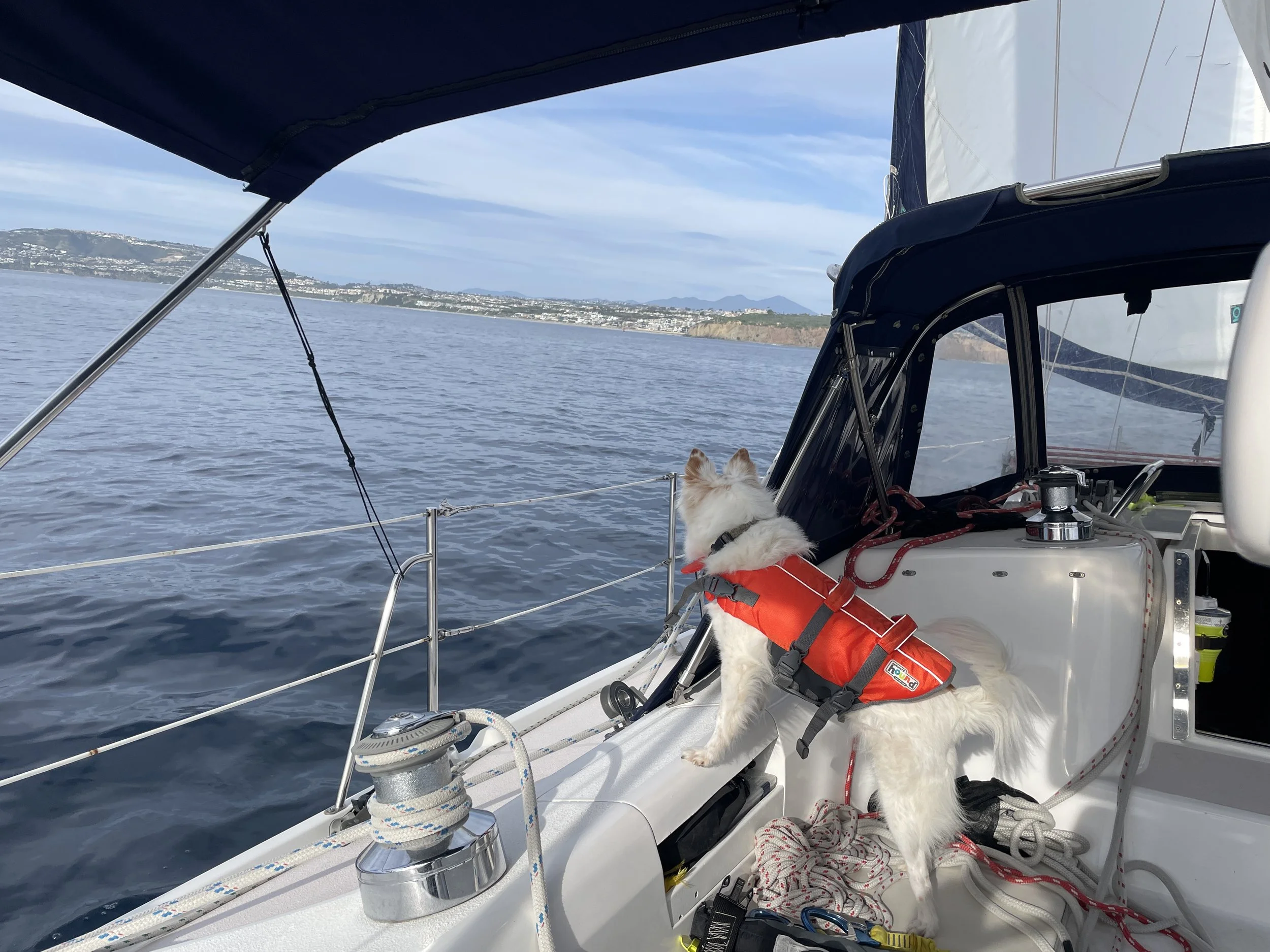 Dana Point!: February 1st, 2026…