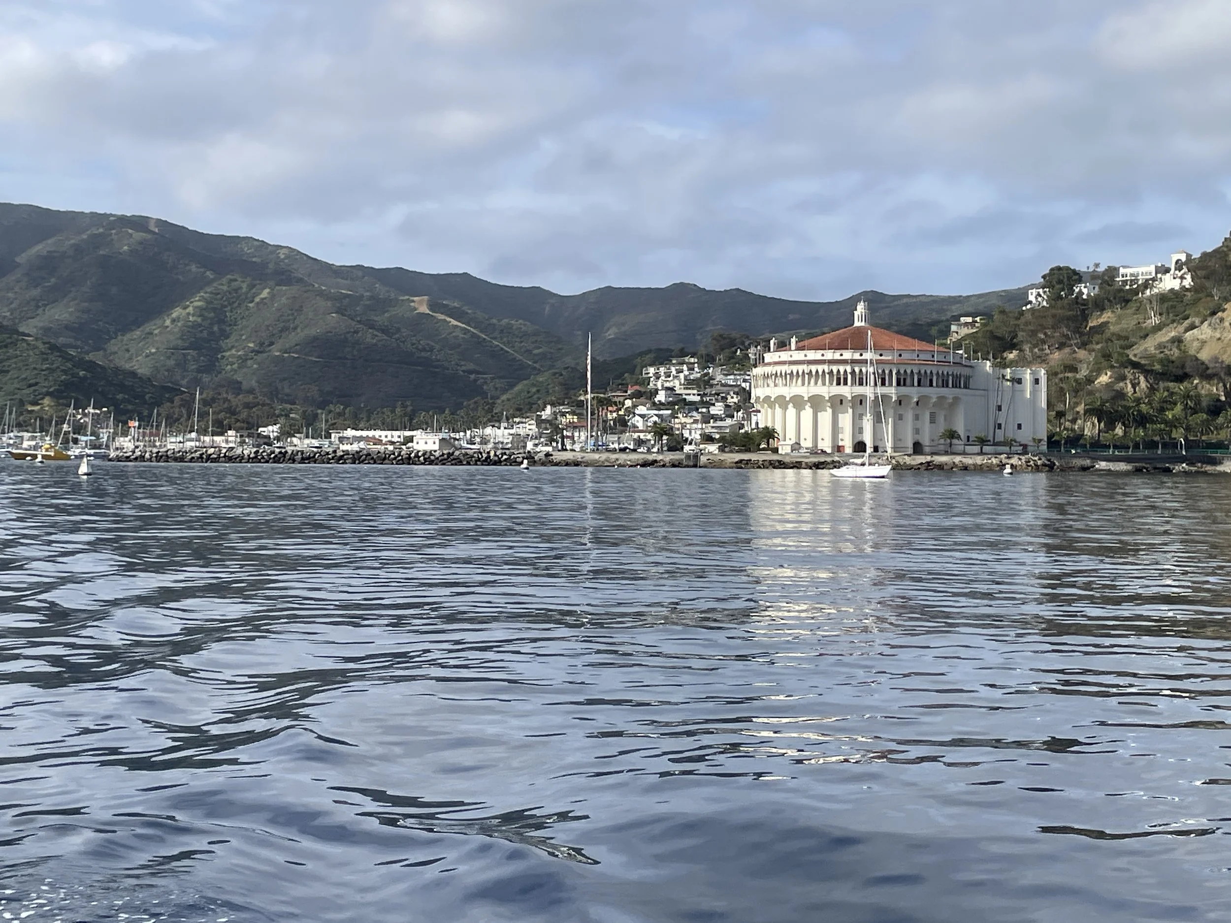 Avalon Casino