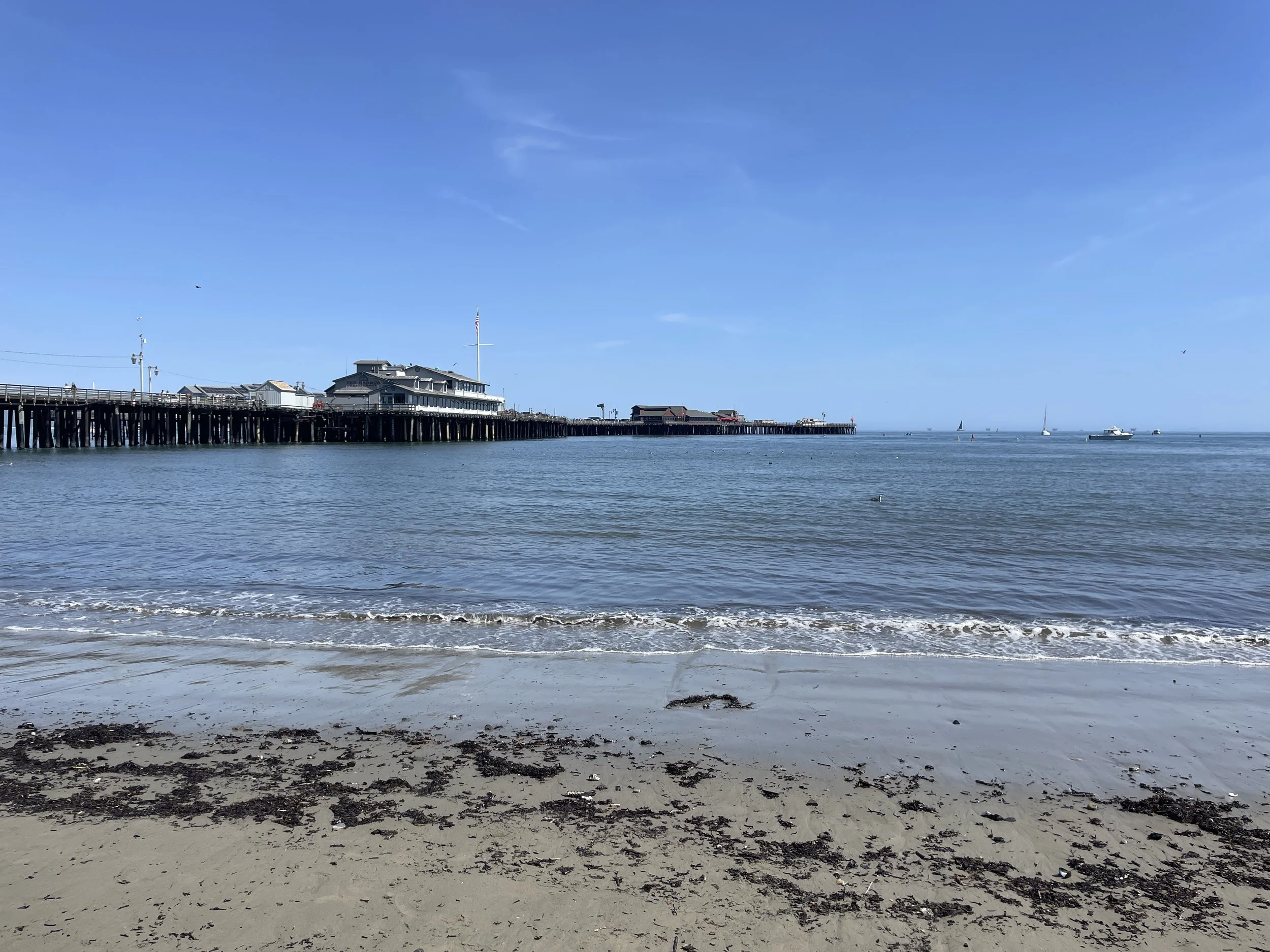 IMG_3403.JPG