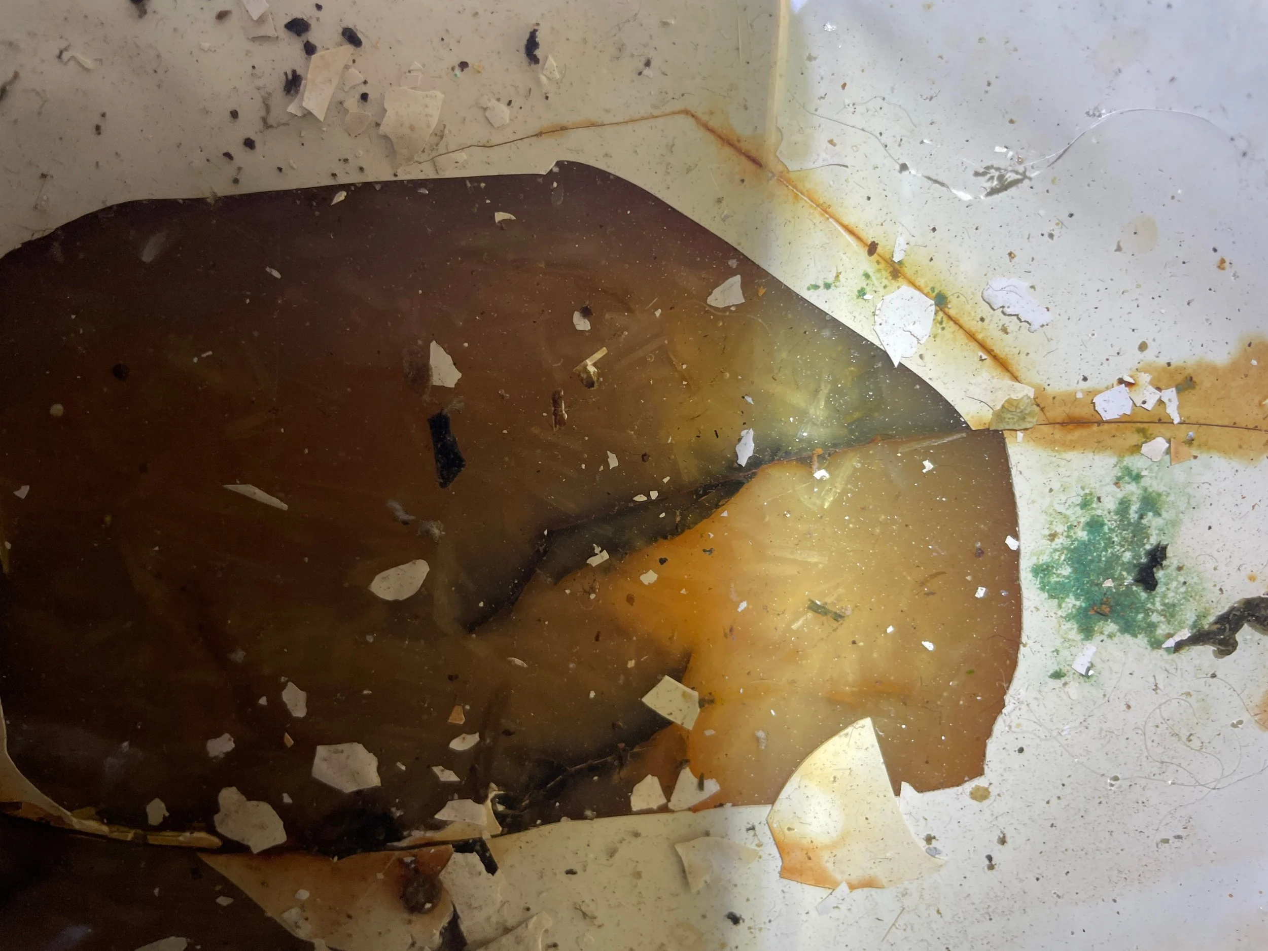 Crack in aft bilge with water.