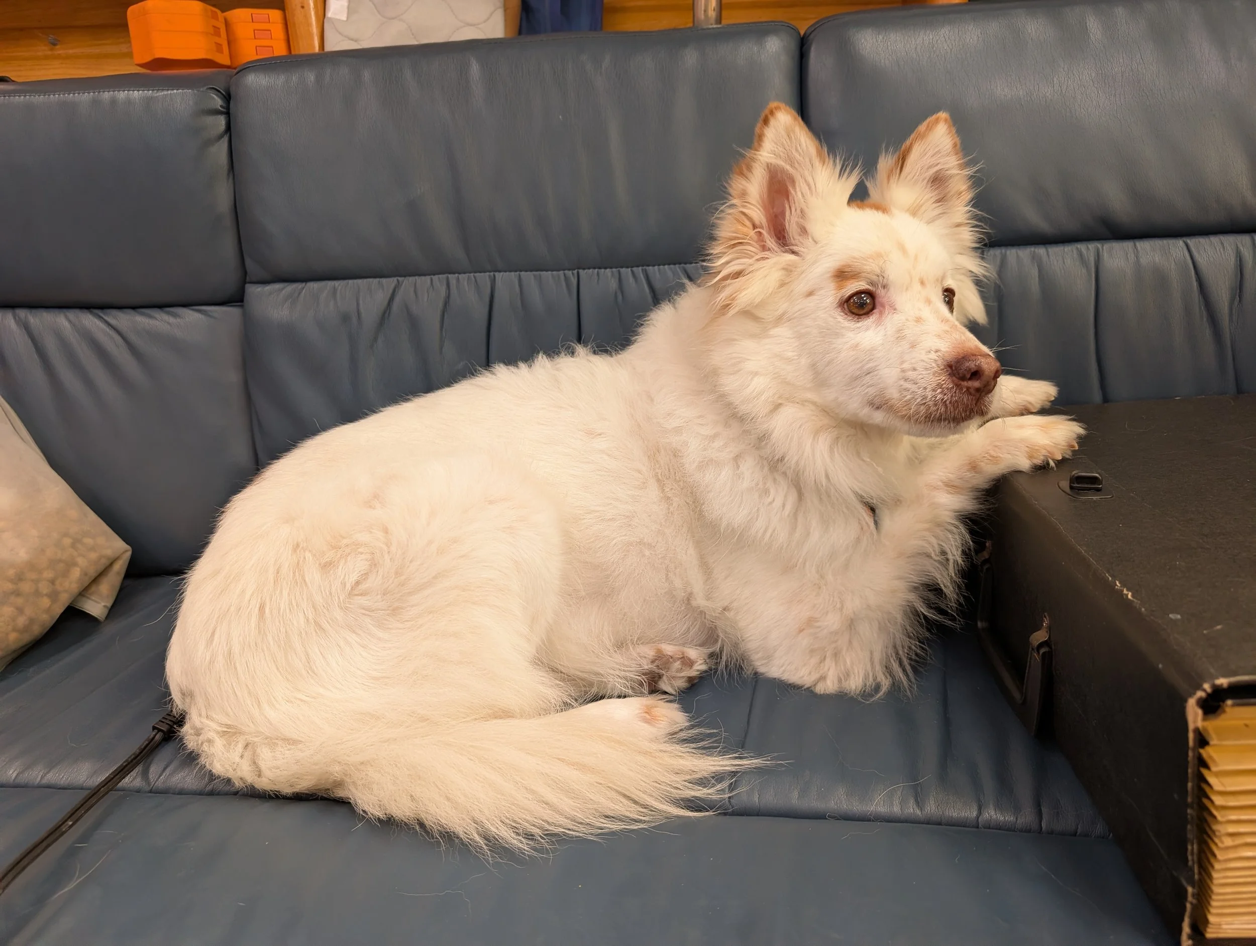 PXL_20260528_214019045.jpg